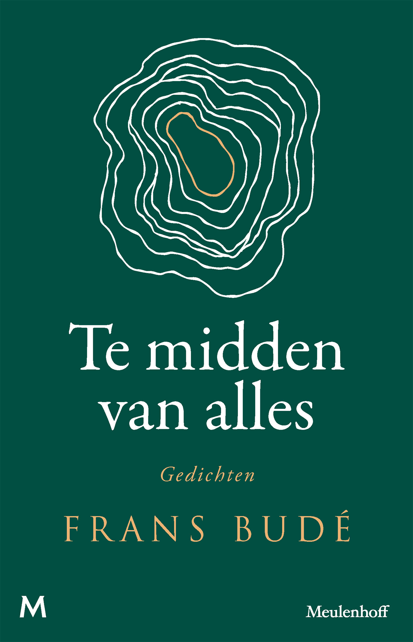 Omslag van Te midden van alles