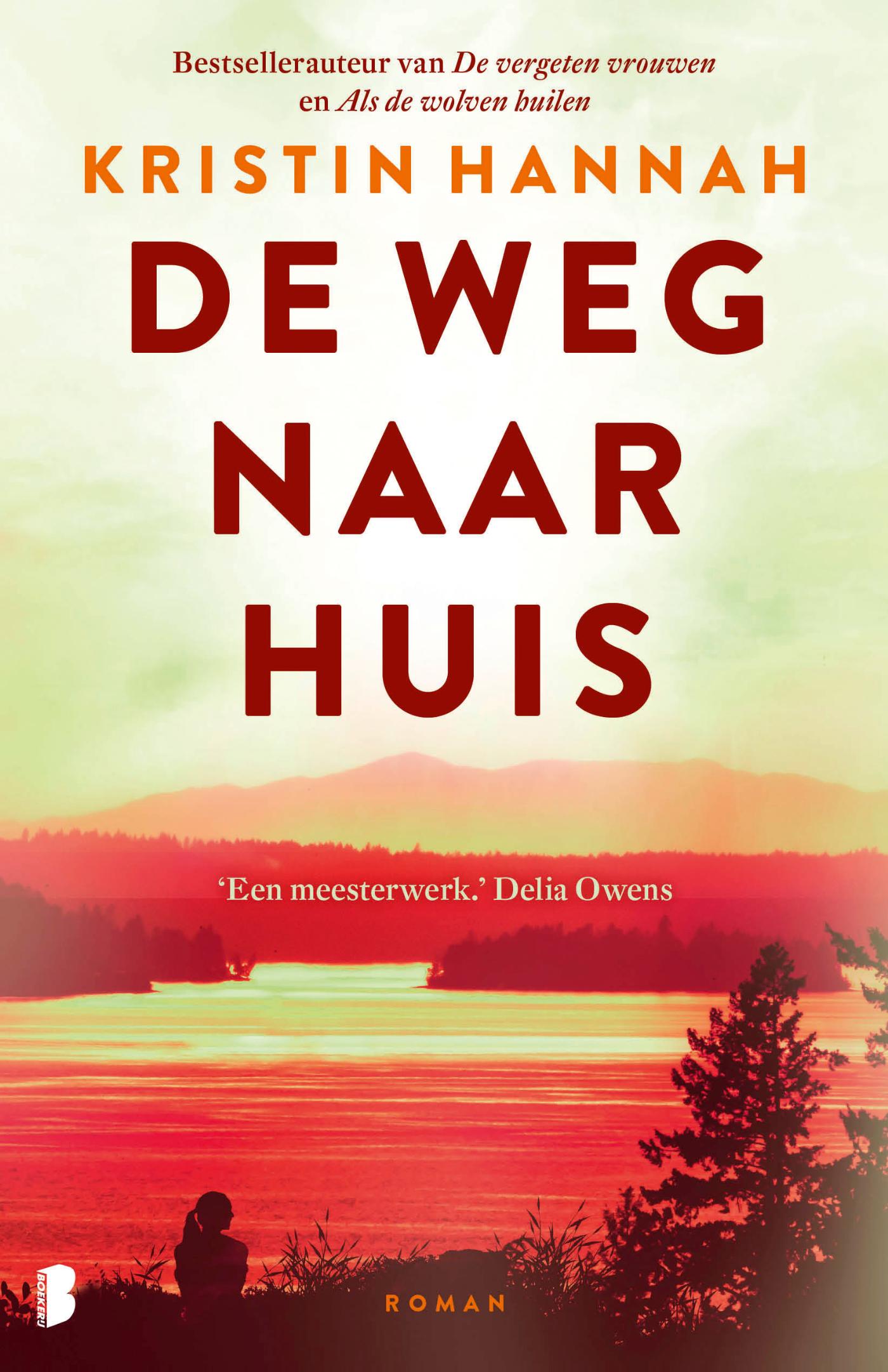 Omslag van De weg naar huis