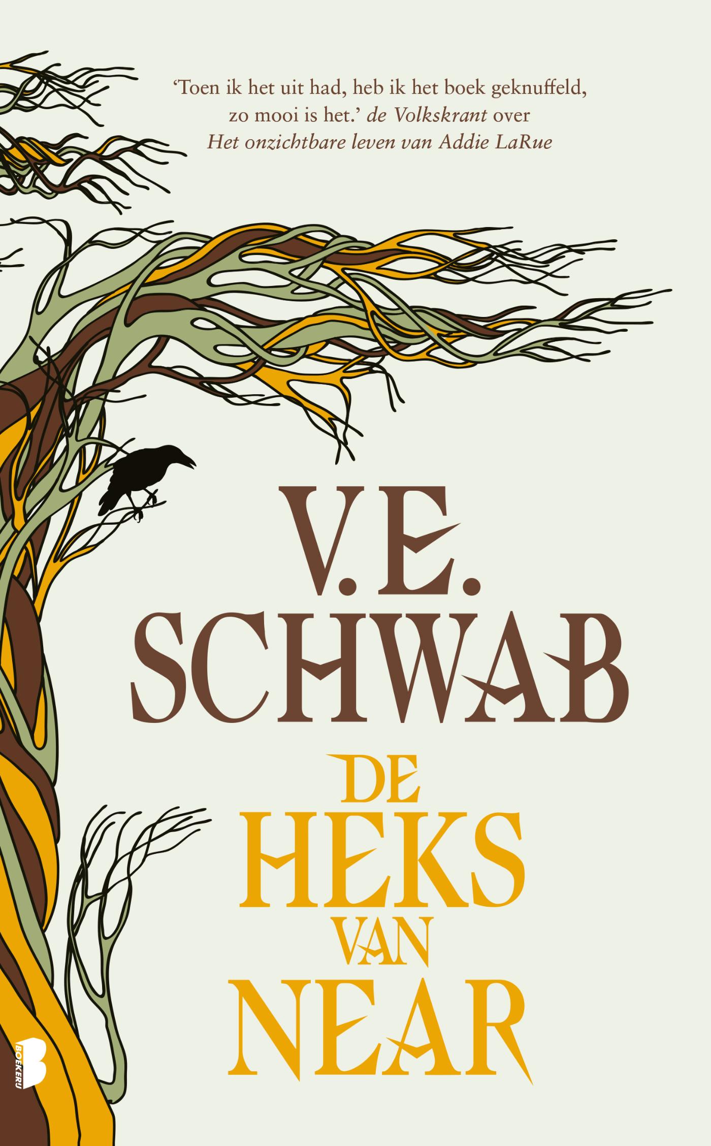Omslag van De heks van Near