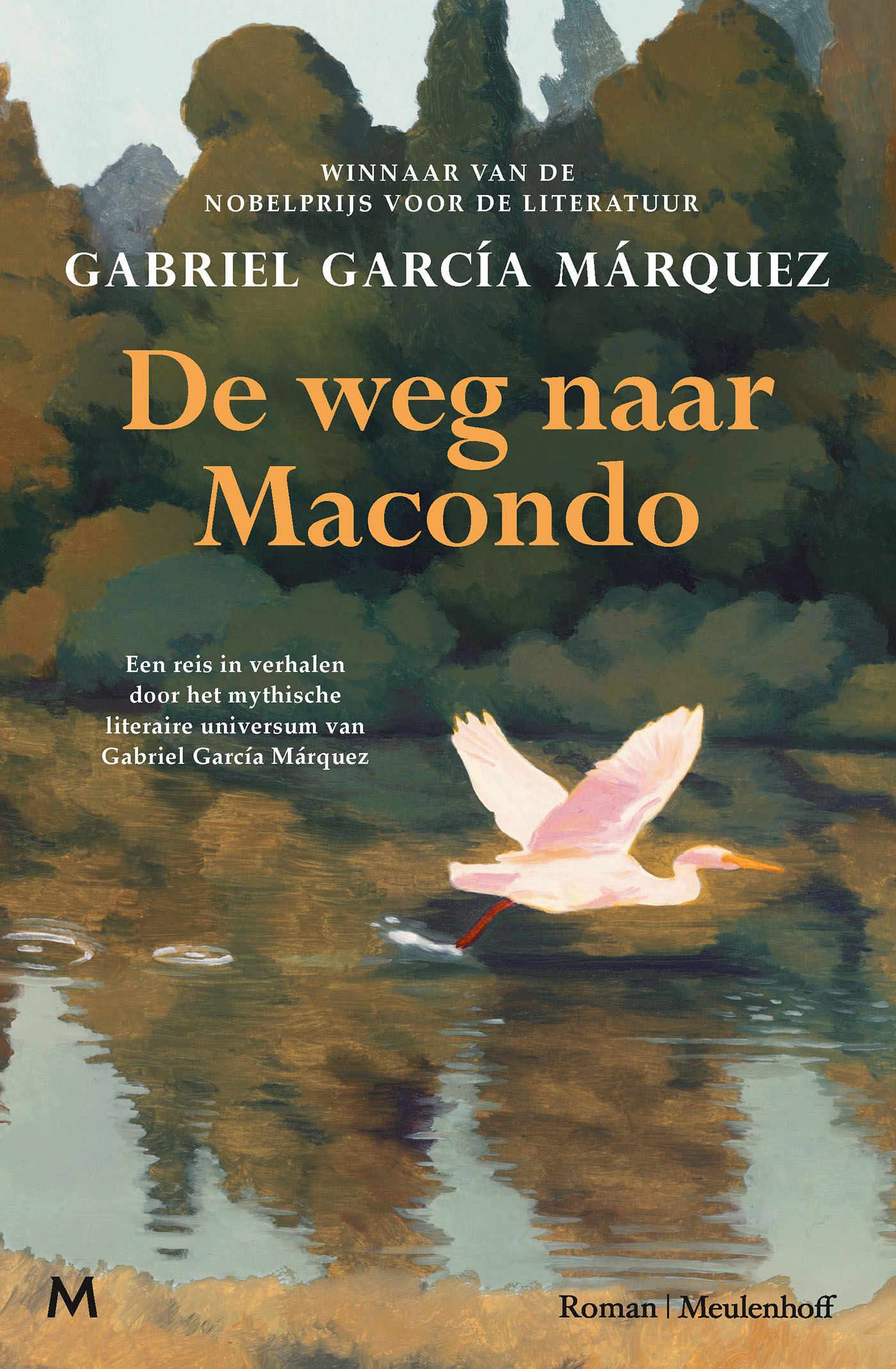 Omslag van De weg naar Macondo