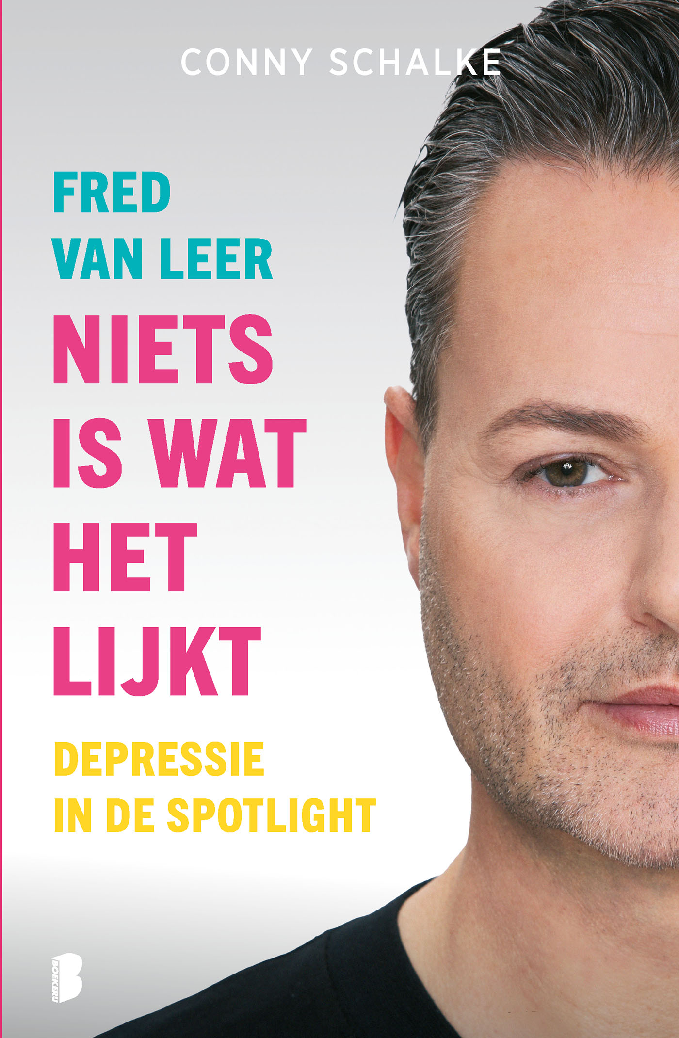 Omslag van Niets is wat het lijkt