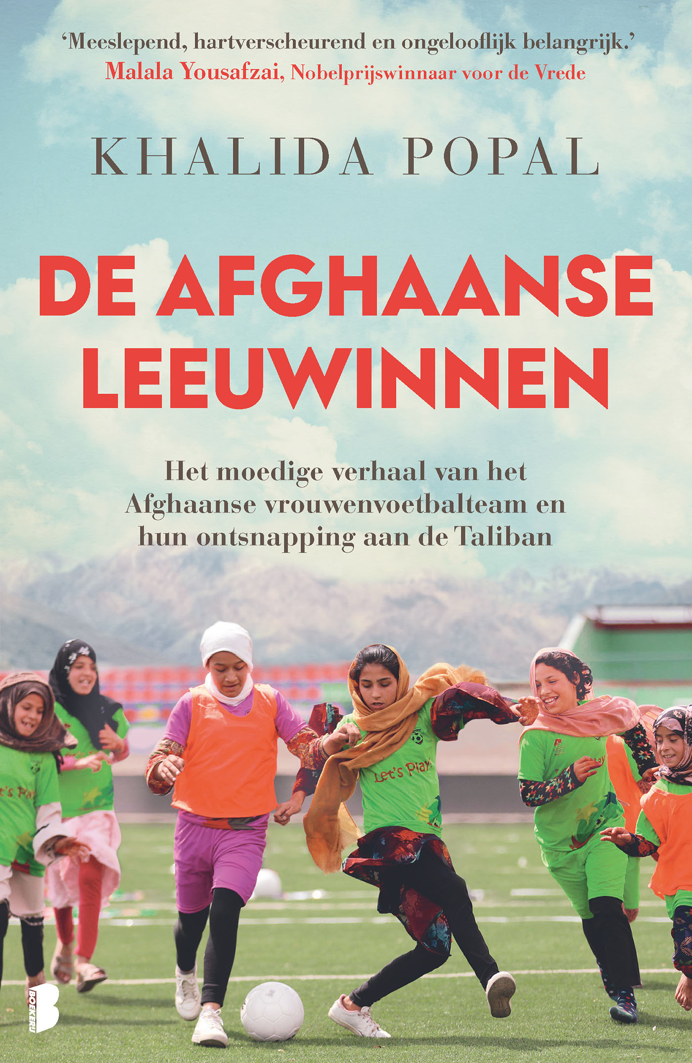 Omslag van De Afghaanse leeuwinnen