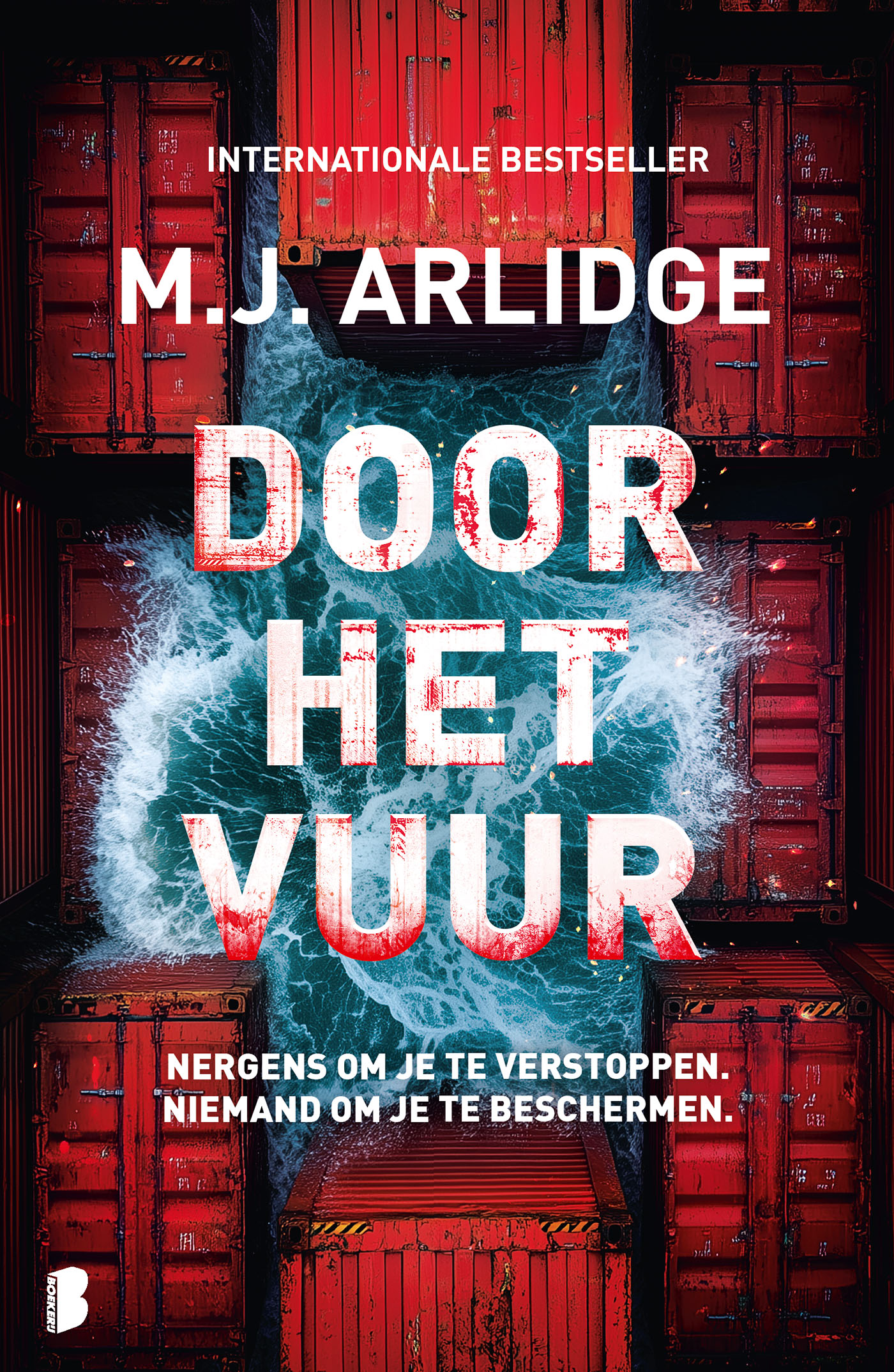 Omslag van Door het vuur