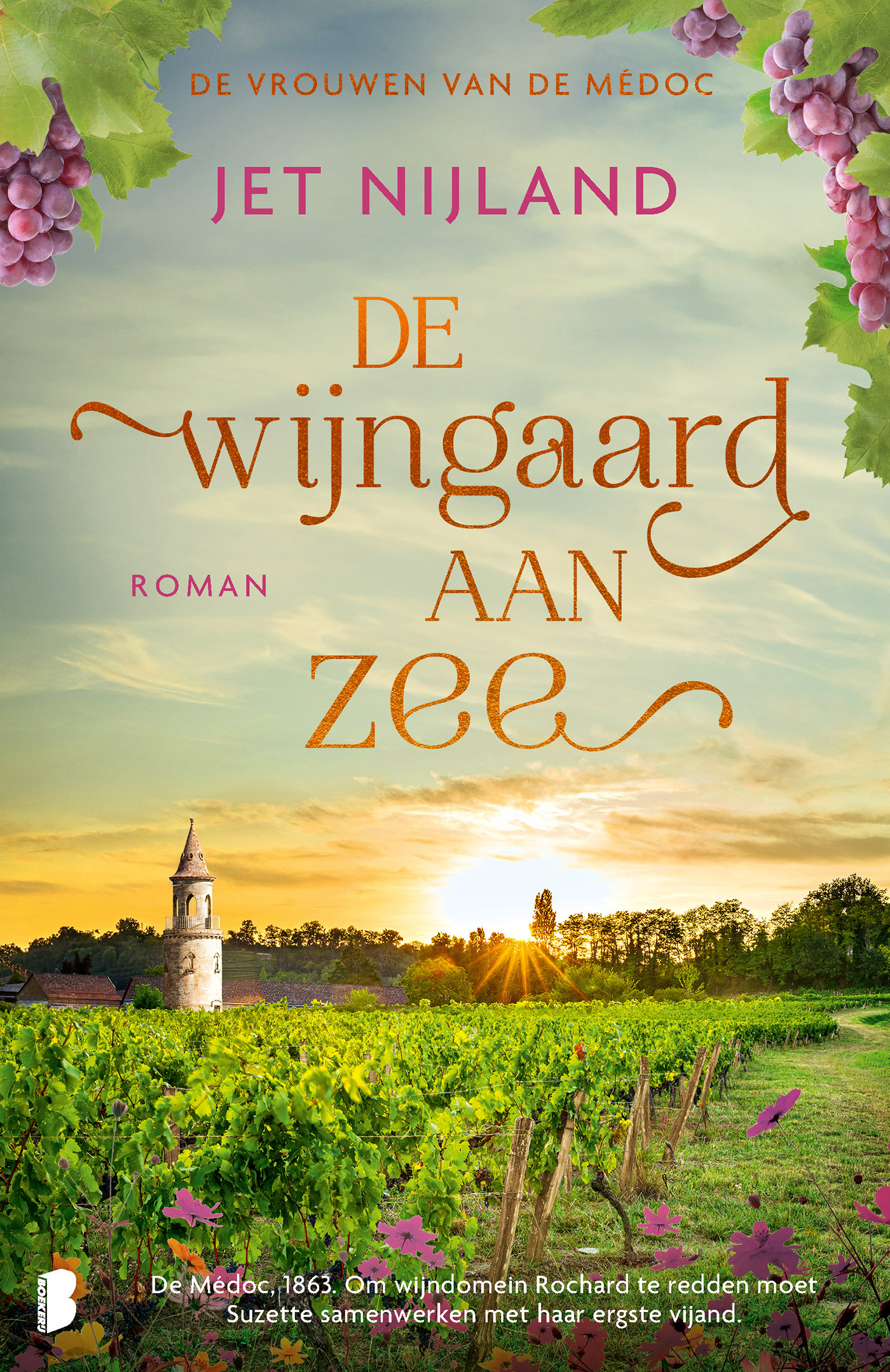 Omslag van De wijngaard aan zee