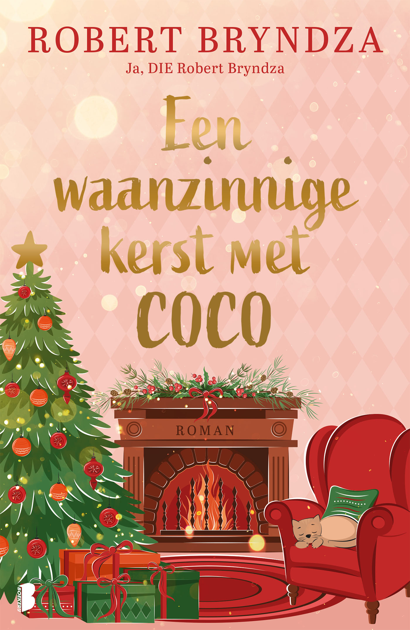 Omslag van Een waanzinnige kerst met Coco
