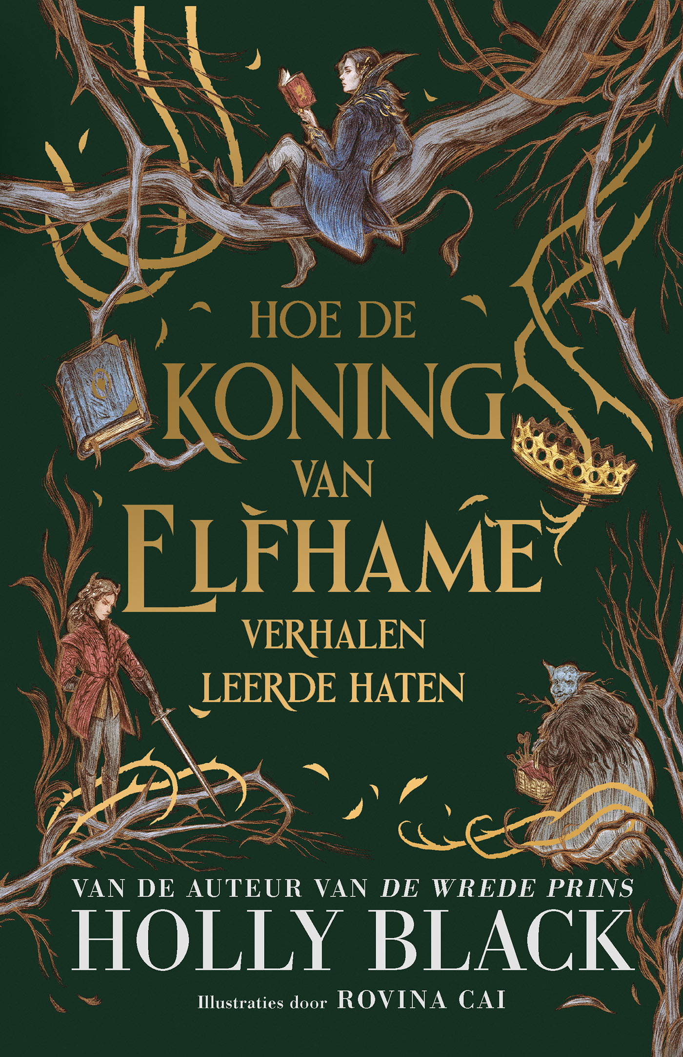 Omslag van Hoe de koning van Elfhame verhalen leerde haten