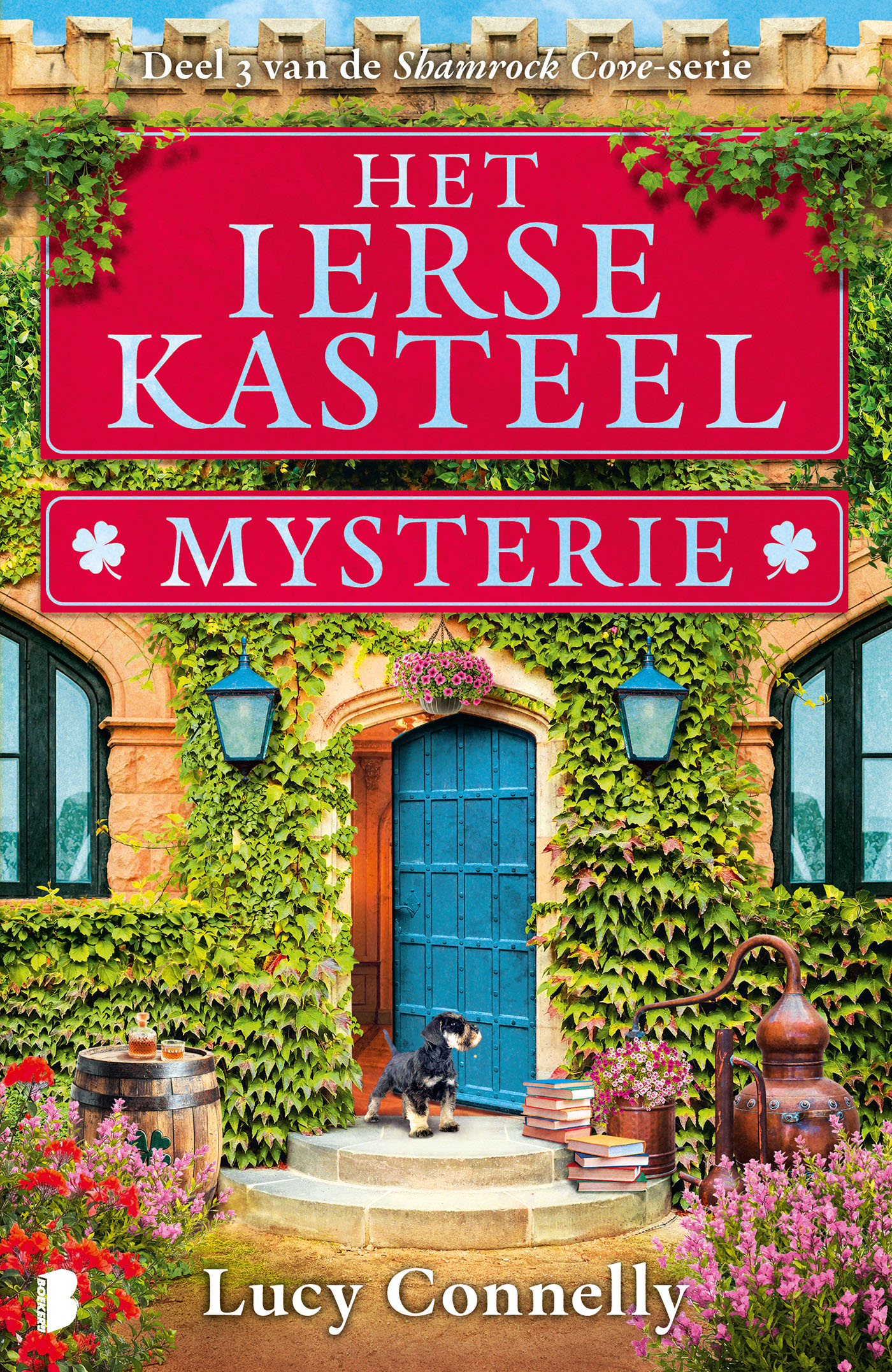 Omslag van Het Ierse kasteelmysterie