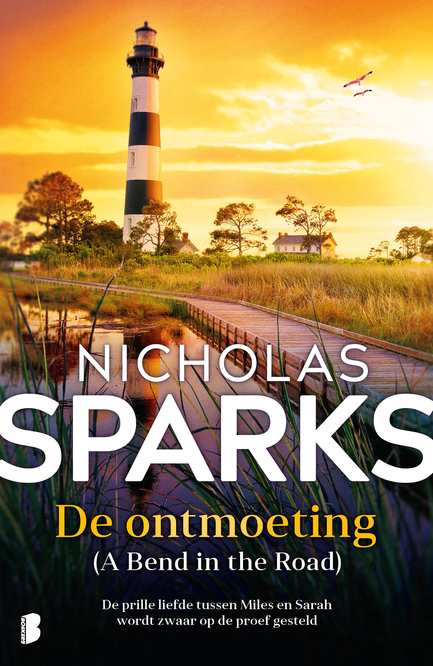Omslag van De ontmoeting