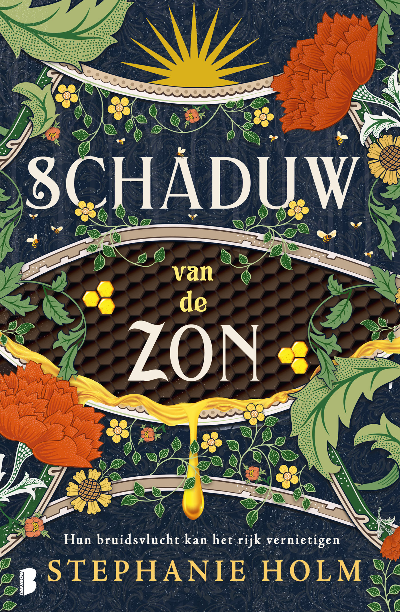 Omslag van Schaduw van de Zon