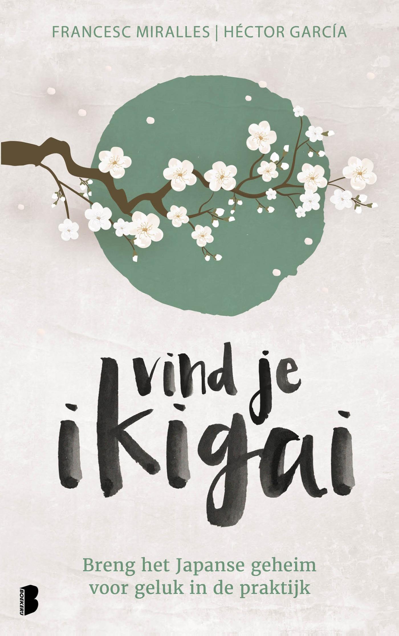 Omslag van Vind je ikigai
