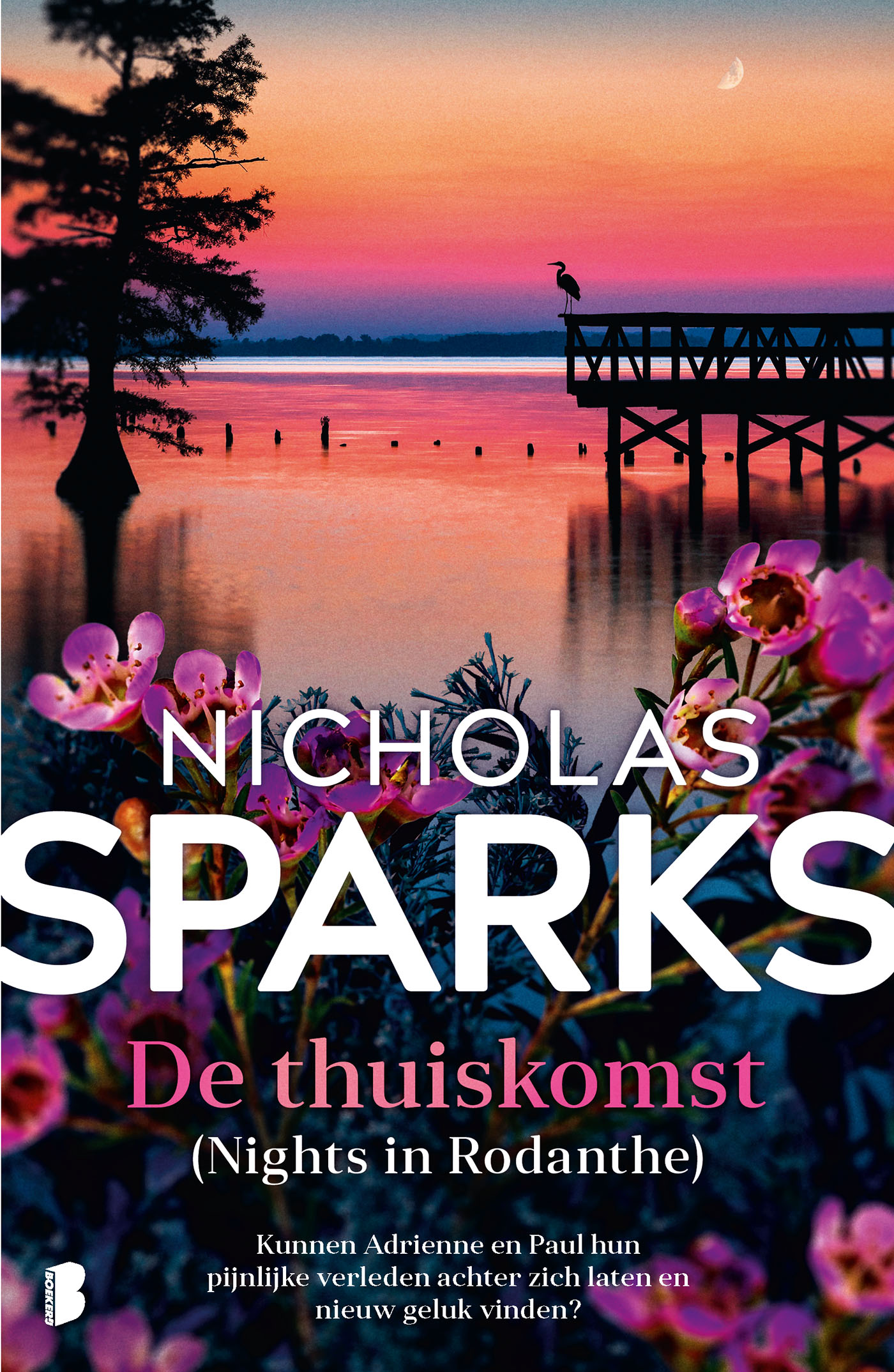 Omslag van De thuiskomst
