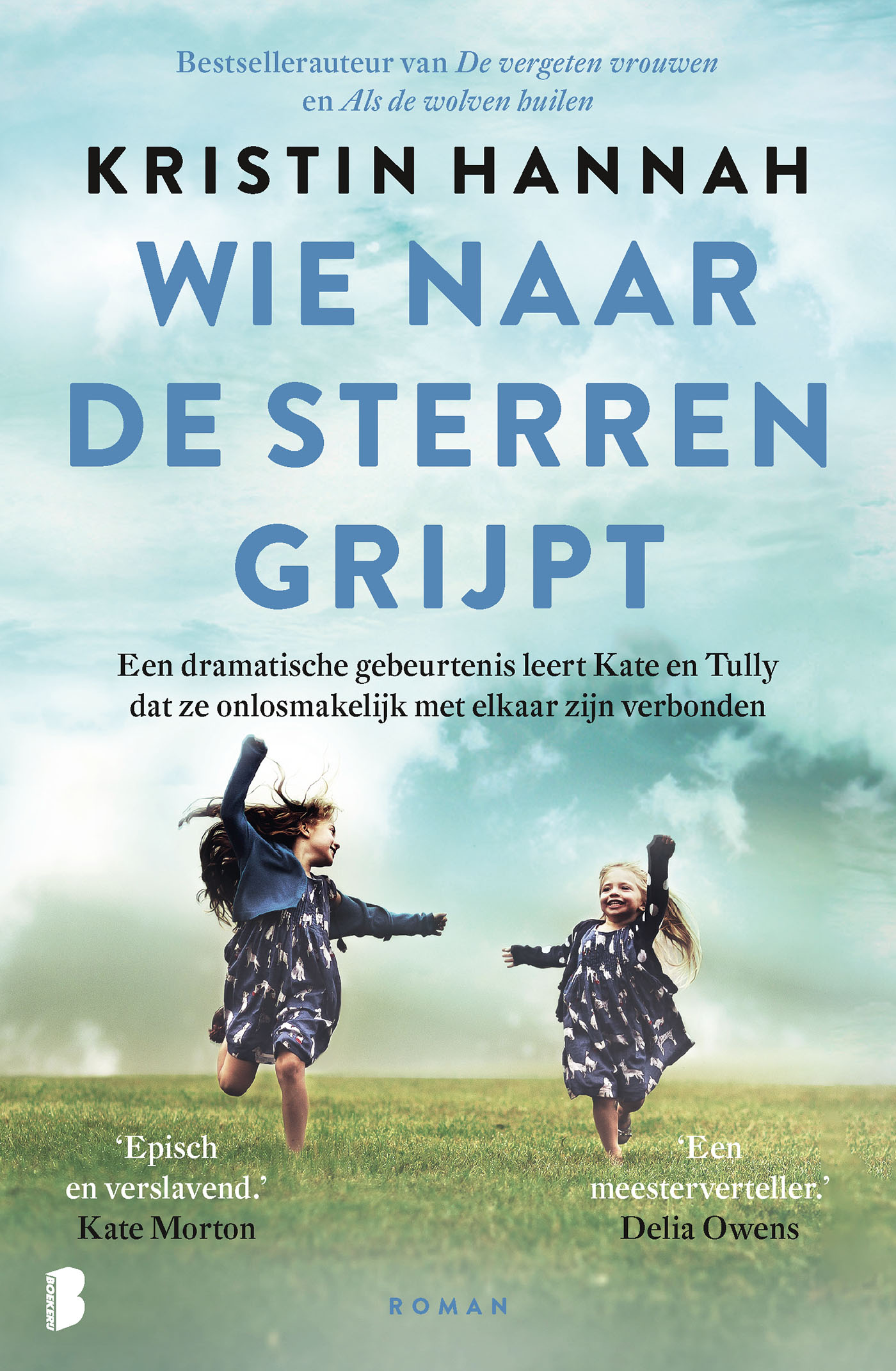 Omslag van Wie naar de sterren grijpt