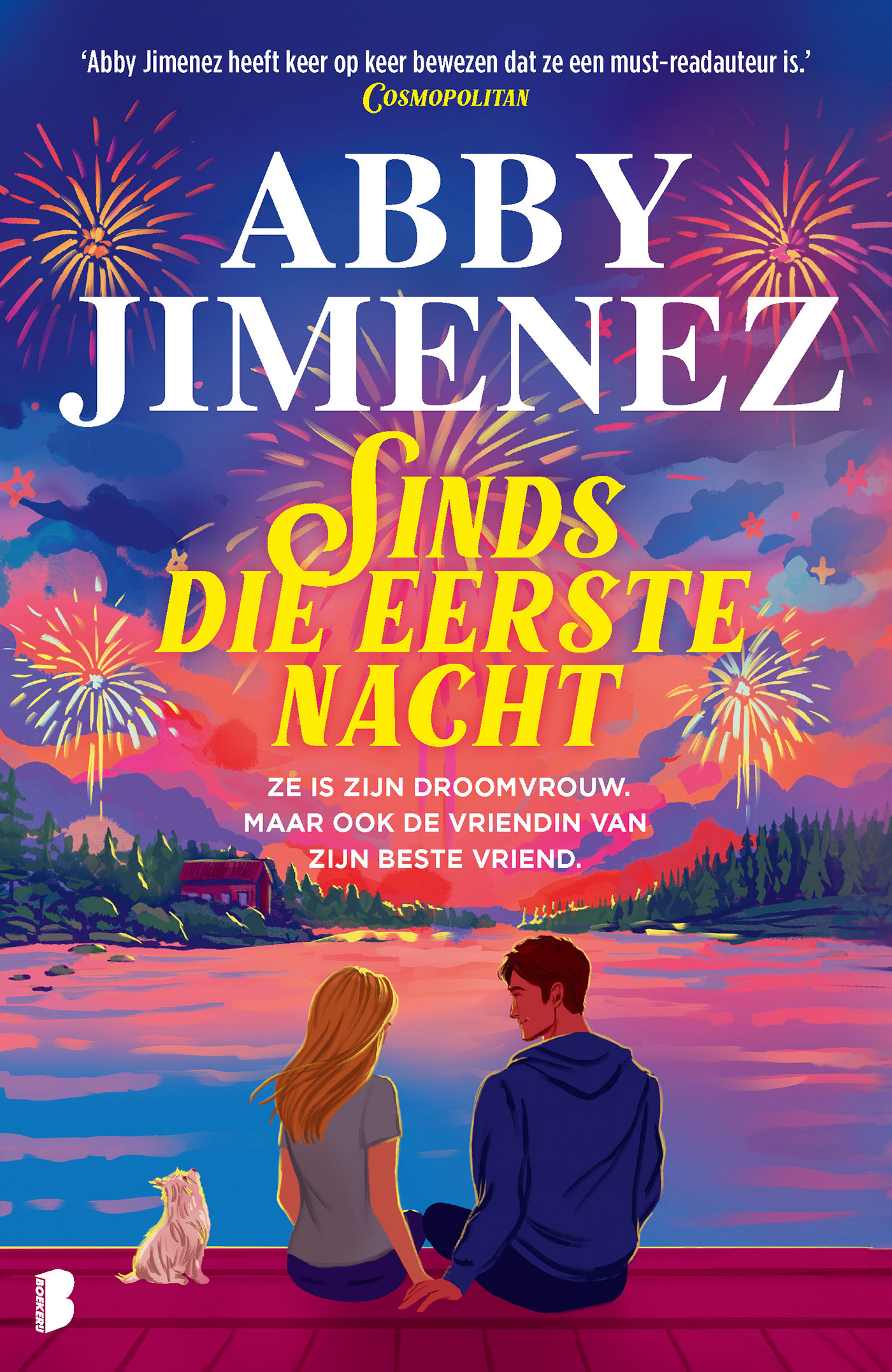 Omslag van Sinds die eerste nacht