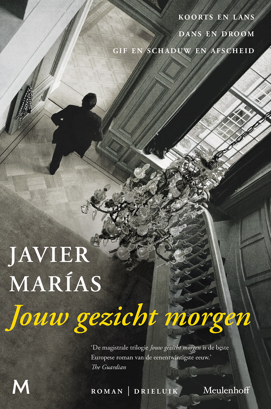 Omslag van Jouw gezicht morgen