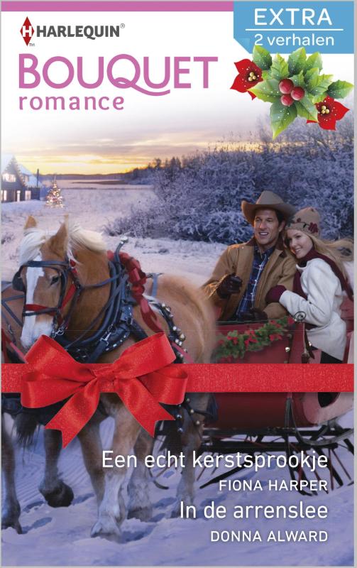 Omslag van Een echt kerstsprookje ; In de arrenslee