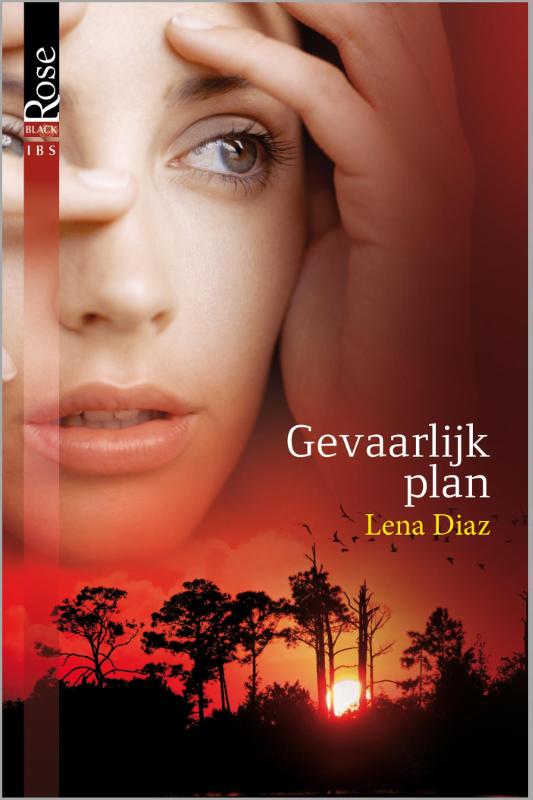 Omslag van Gevaarlijk plan