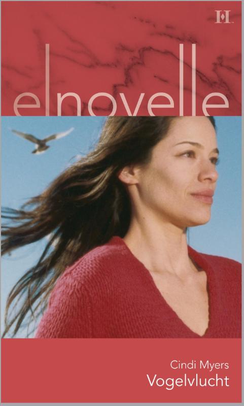 Omslag van Vogelvlucht