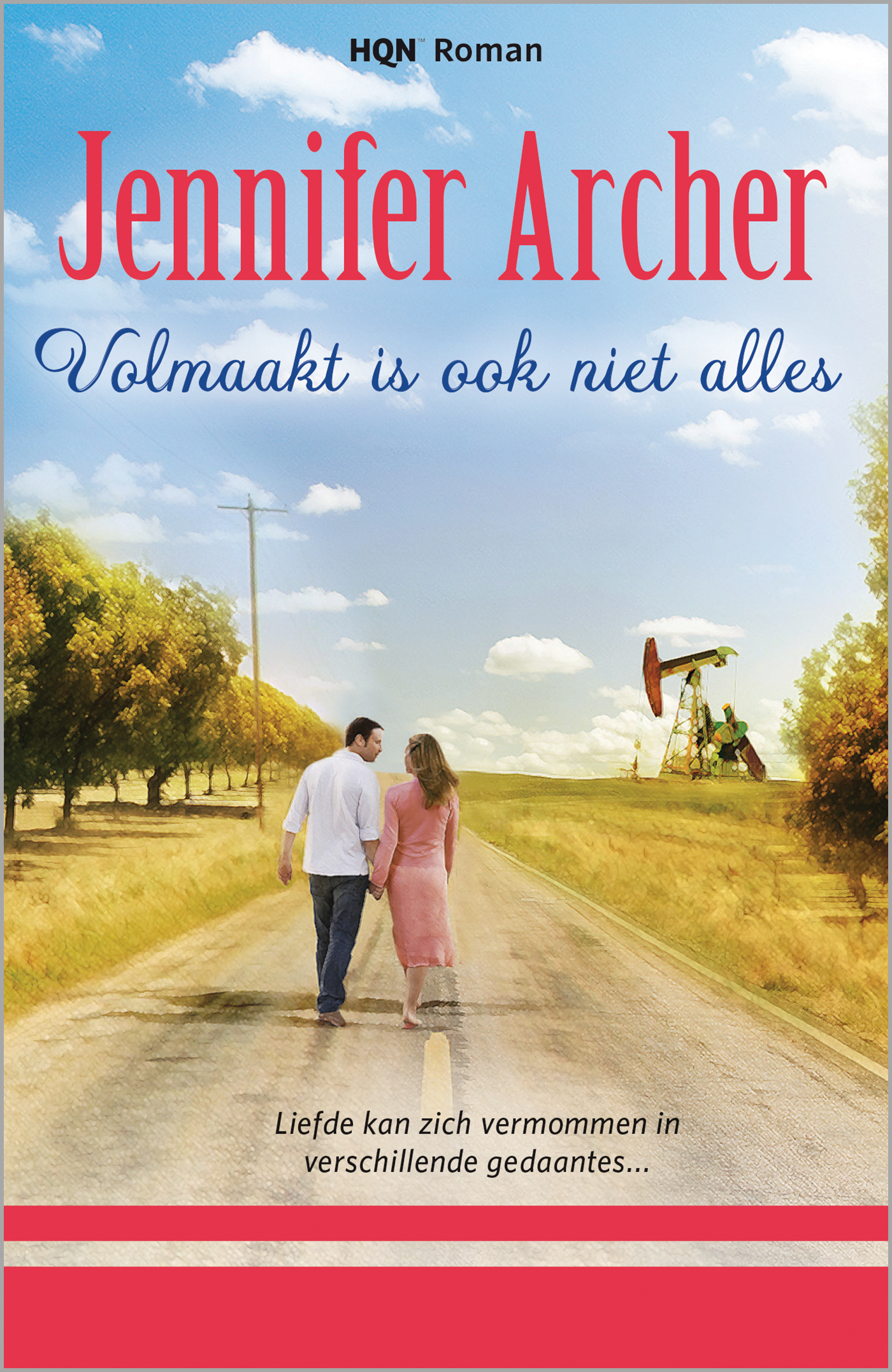 Omslag van Volmaakt is ook niet alles