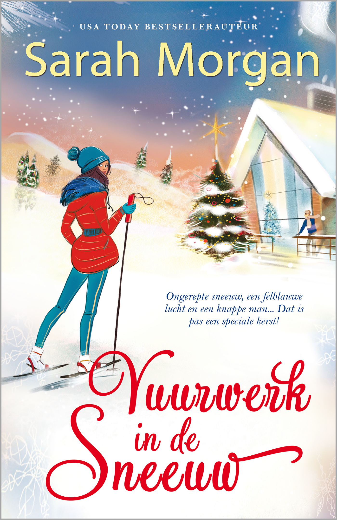 Omslag van Vuurwerk in de sneeuw