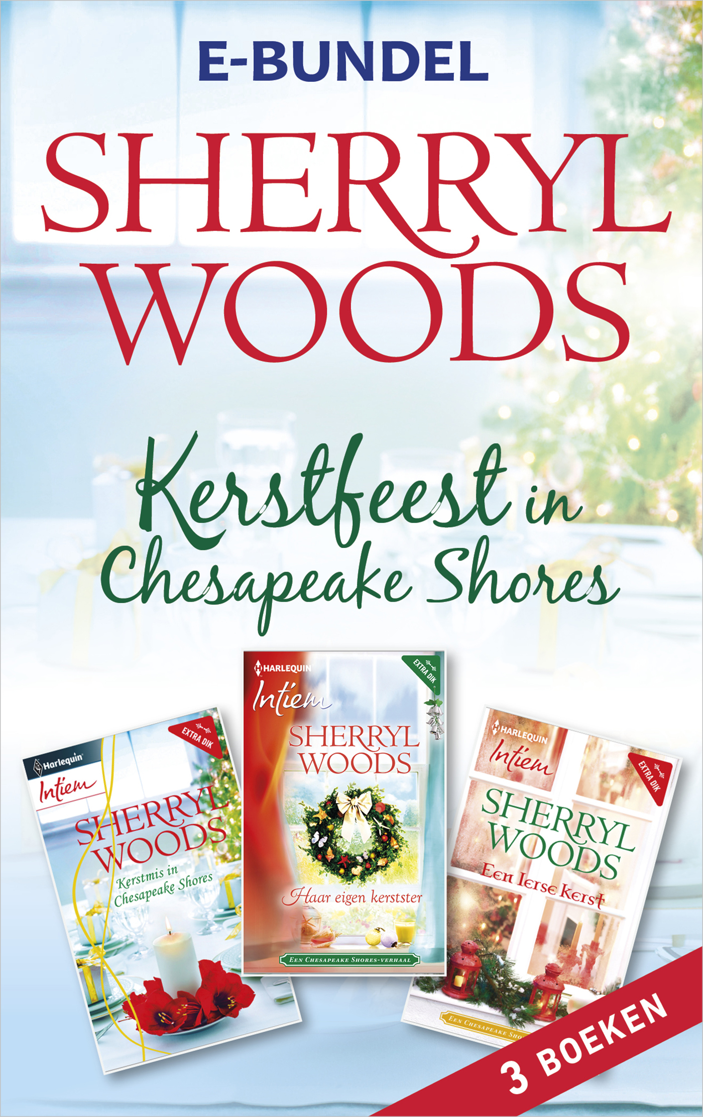 Omslag van Kerstfeest in Chesapeake Shores