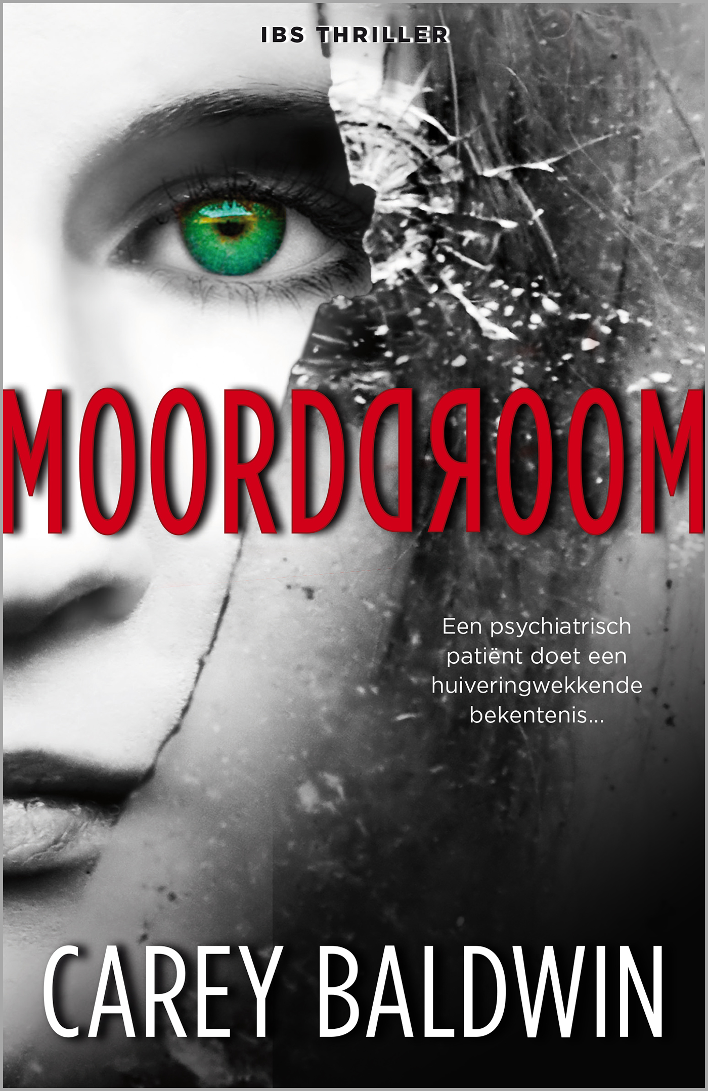 Omslag van Moorddroom