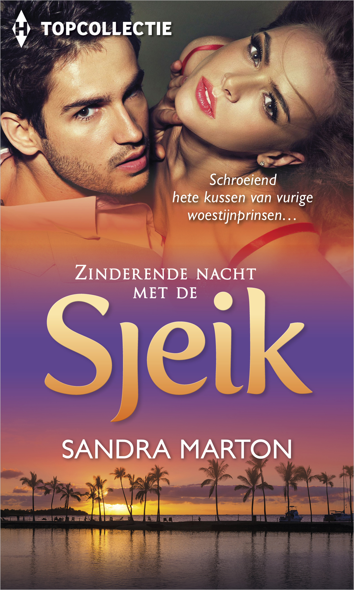 Omslag van Zinderende nacht met de sjeik