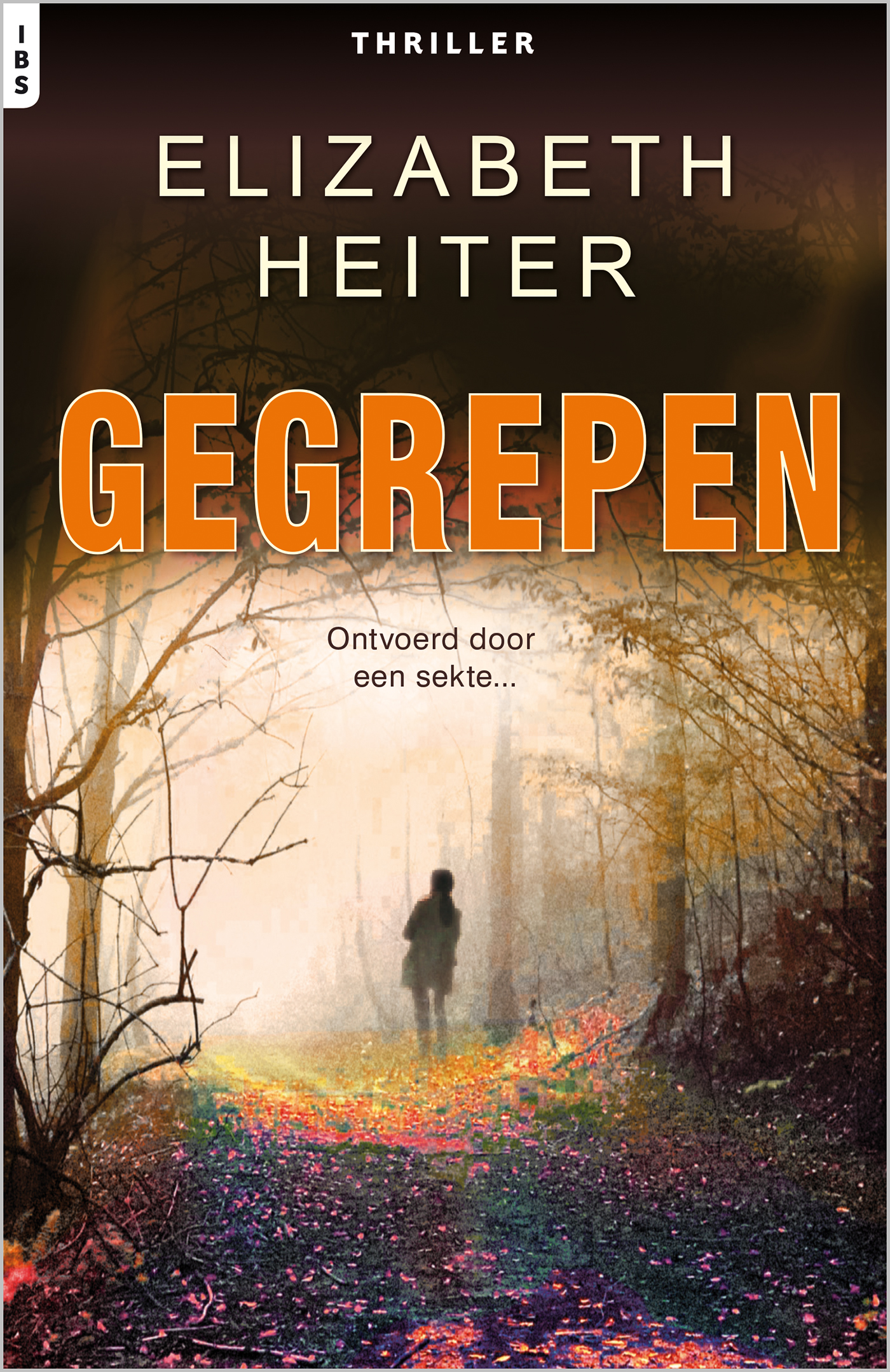 Omslag van Gegrepen
