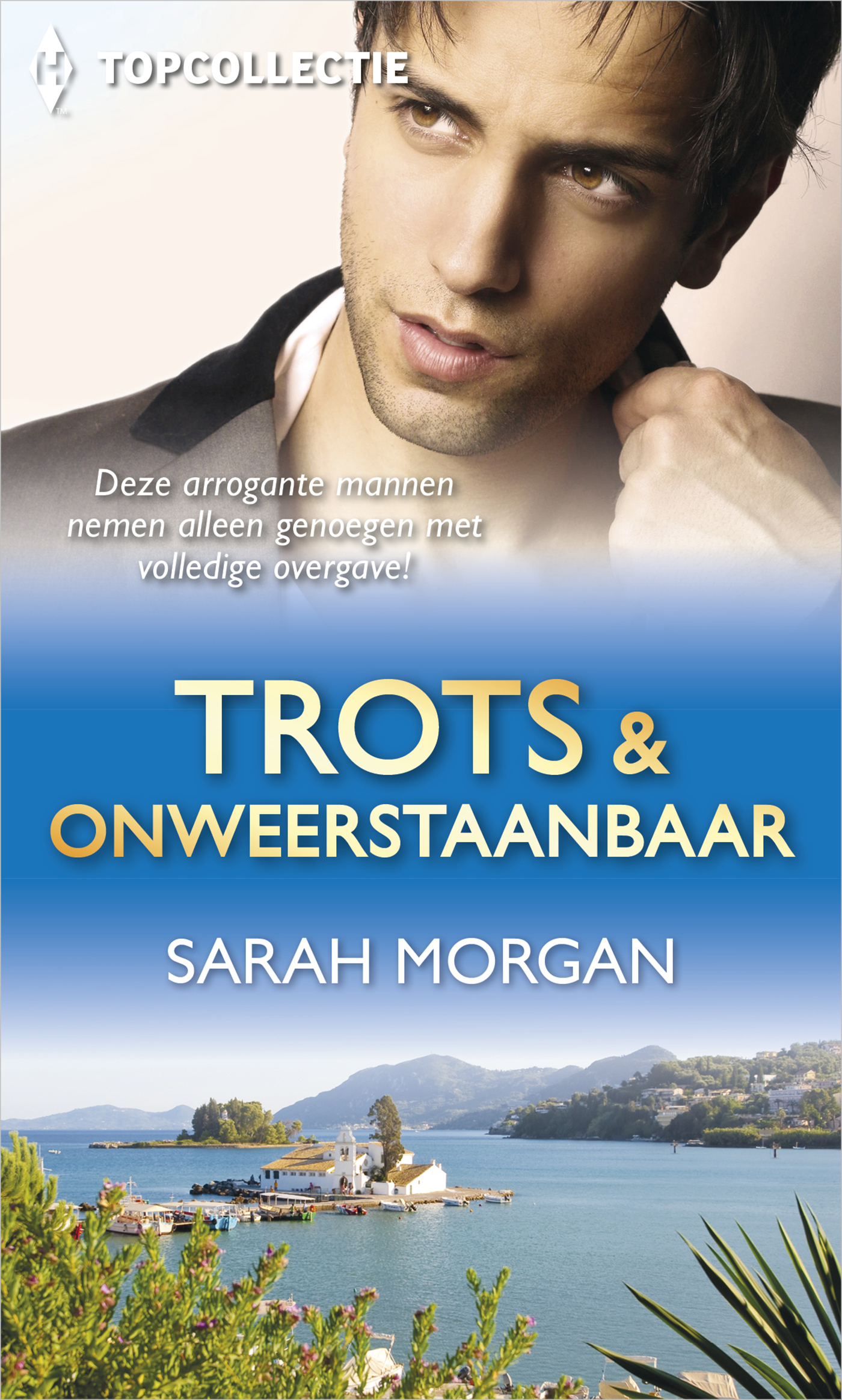 Omslag van Trots & onweerstaanbaar