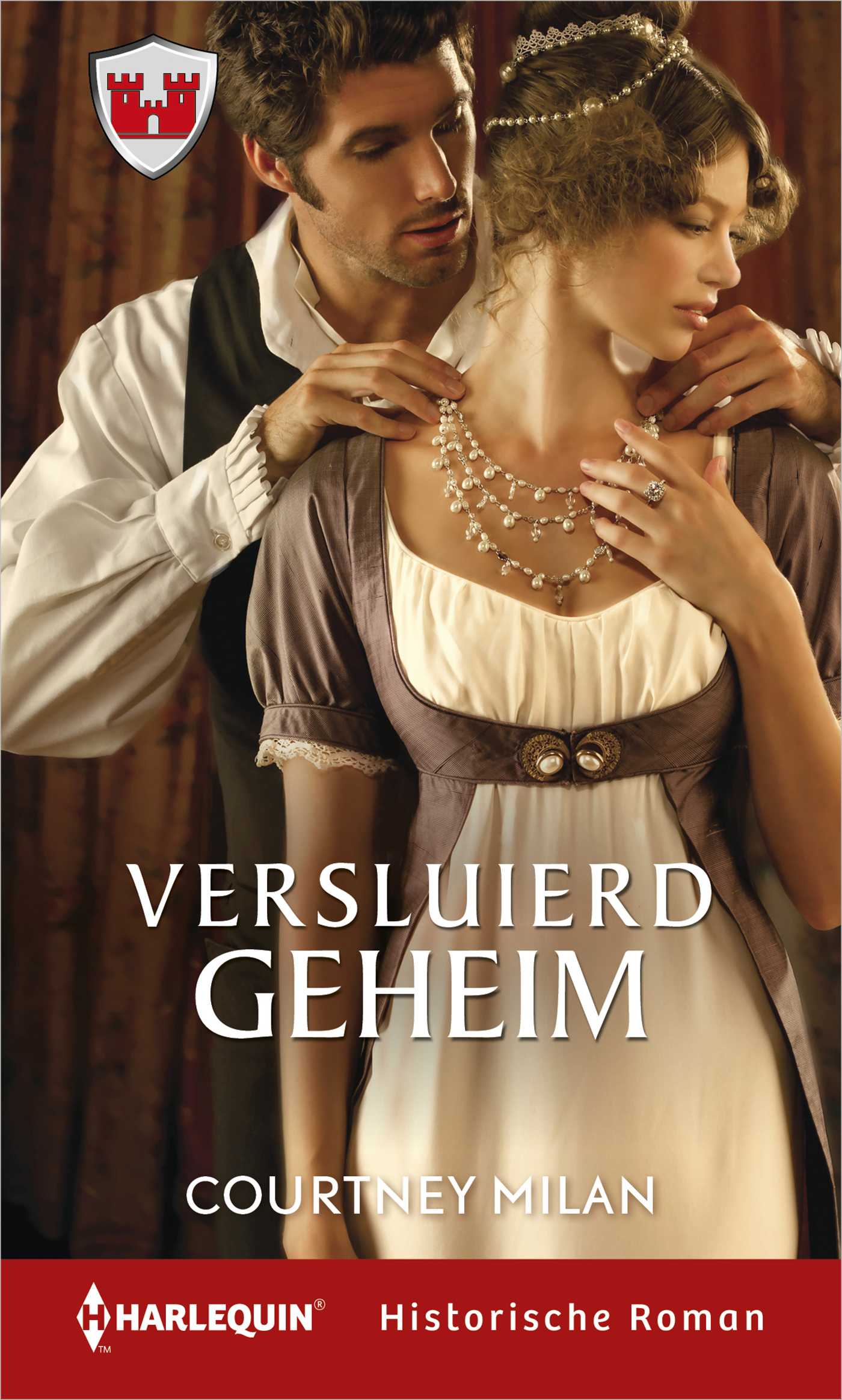 Omslag van Versluierd geheim