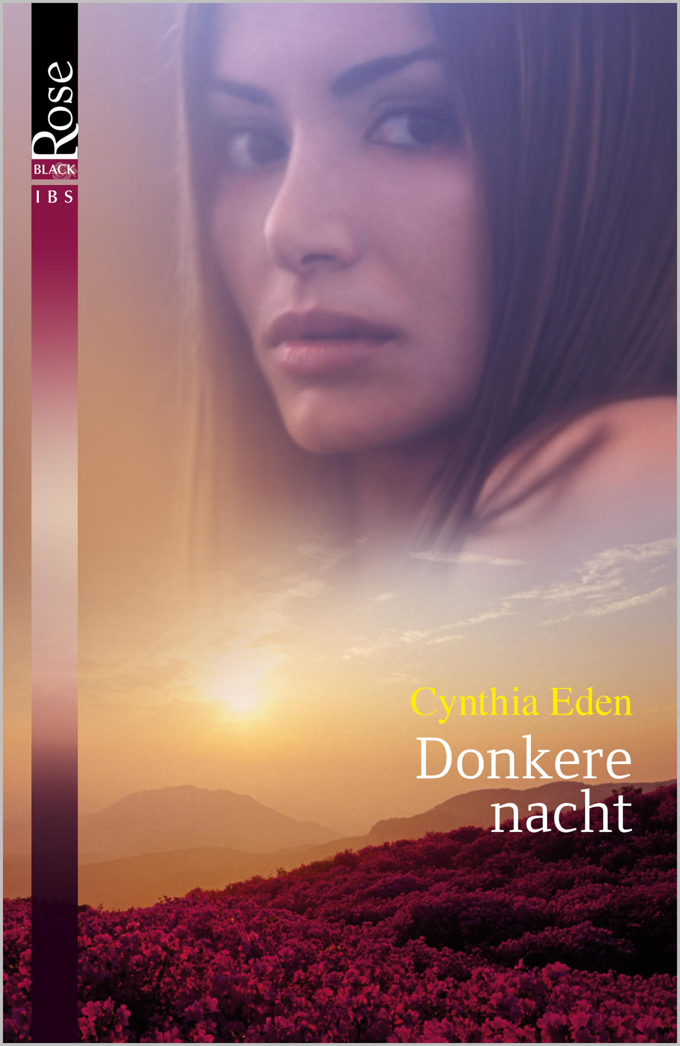 Omslag van Donkere nacht