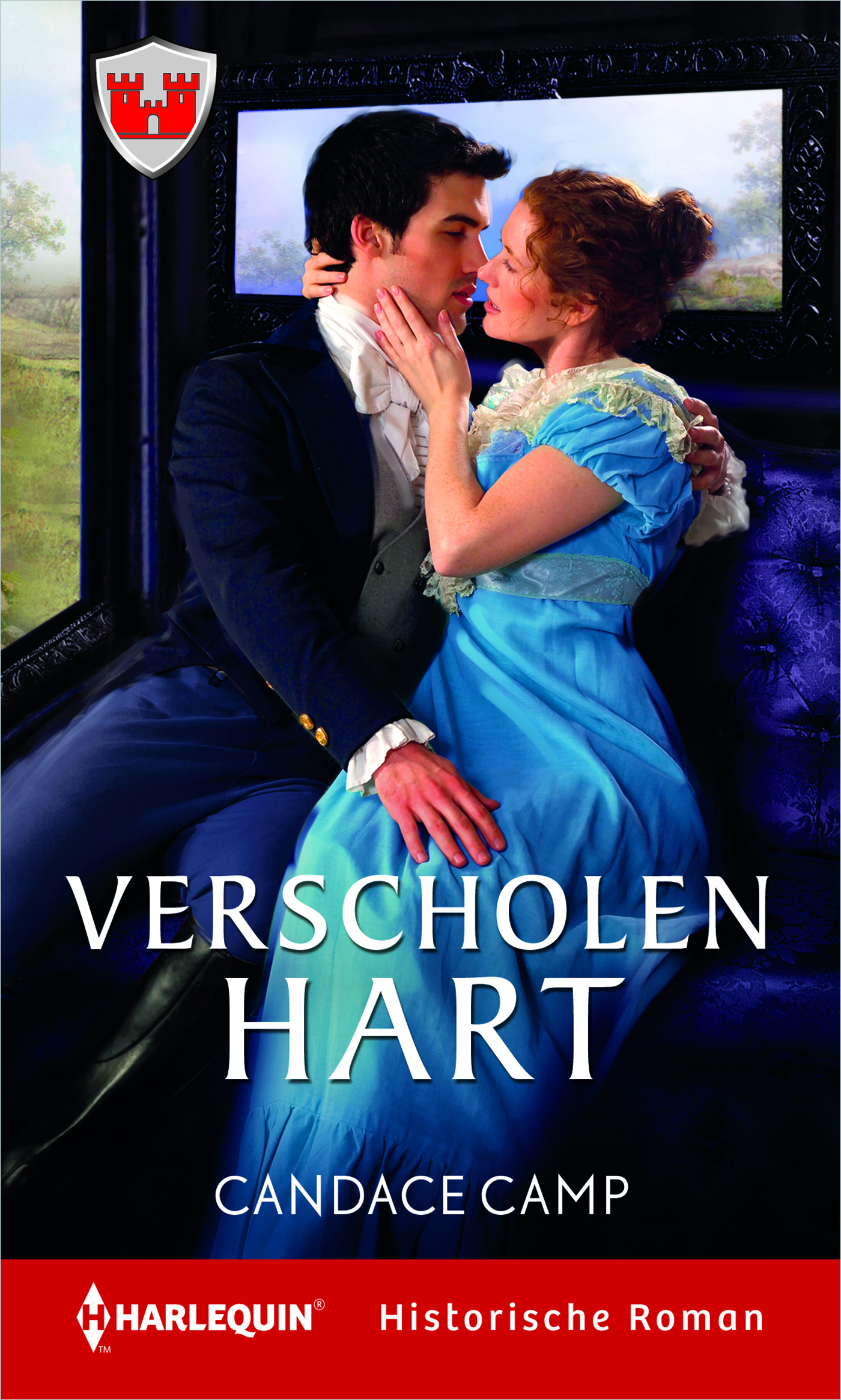 Omslag van Verscholen hart