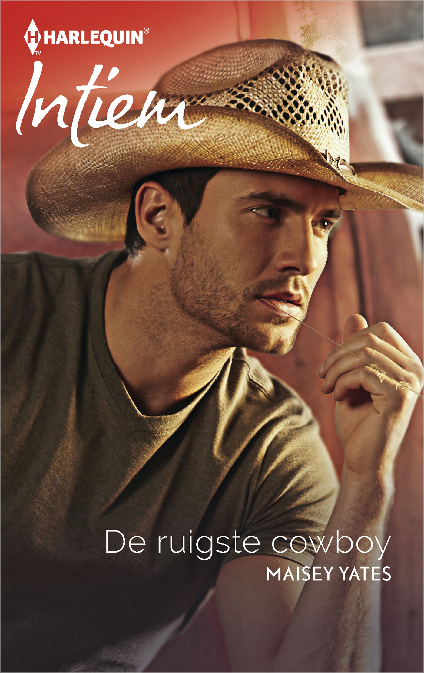 Omslag van De ruigste cowboy