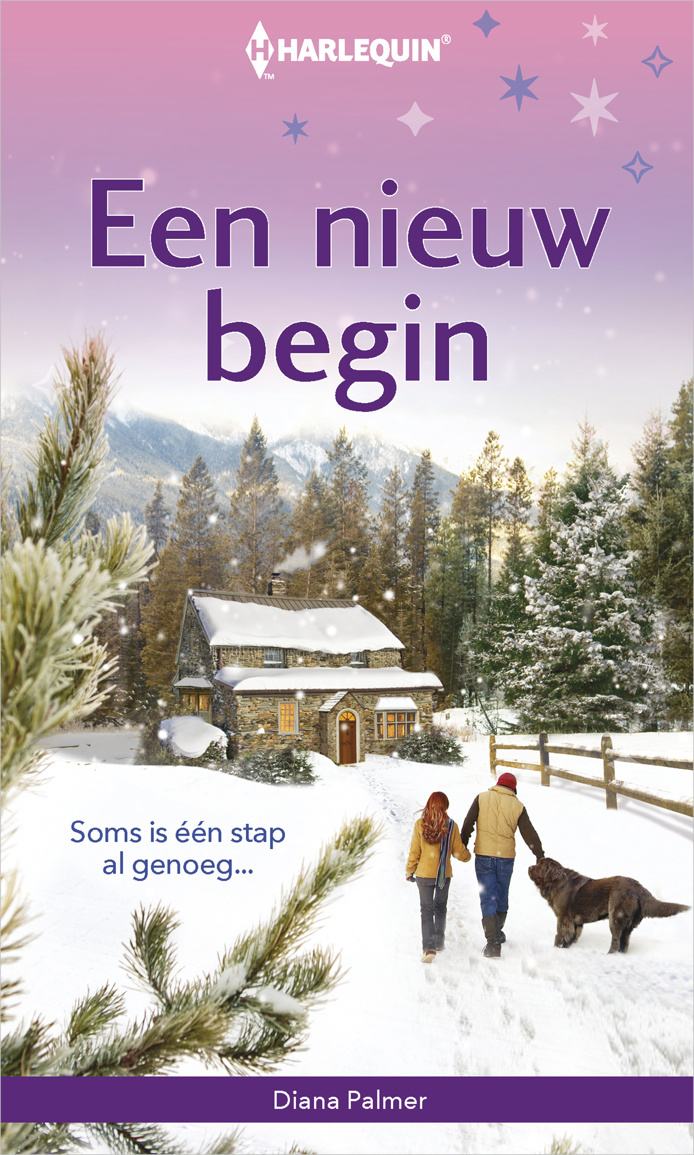 Omslag van Een nieuw begin