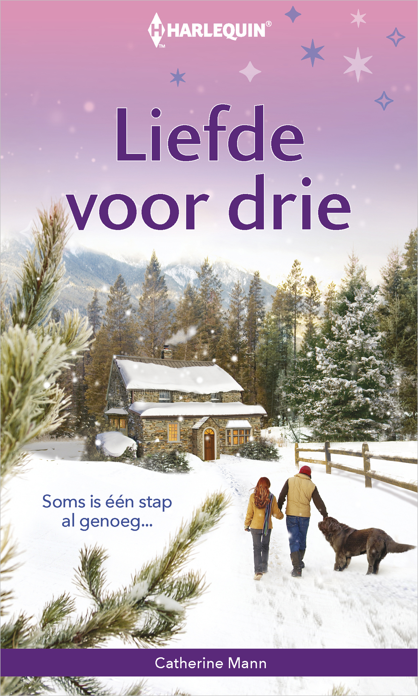 Omslag van Liefde voor drie