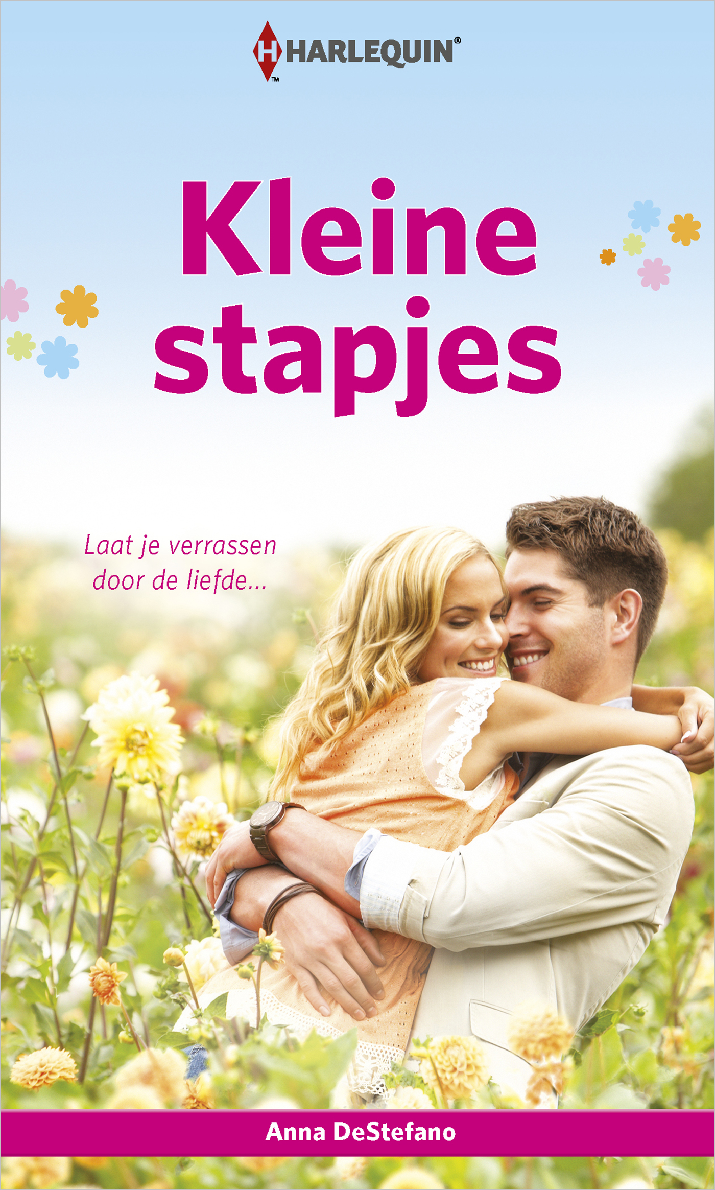 Omslag van Kleine stapjes
