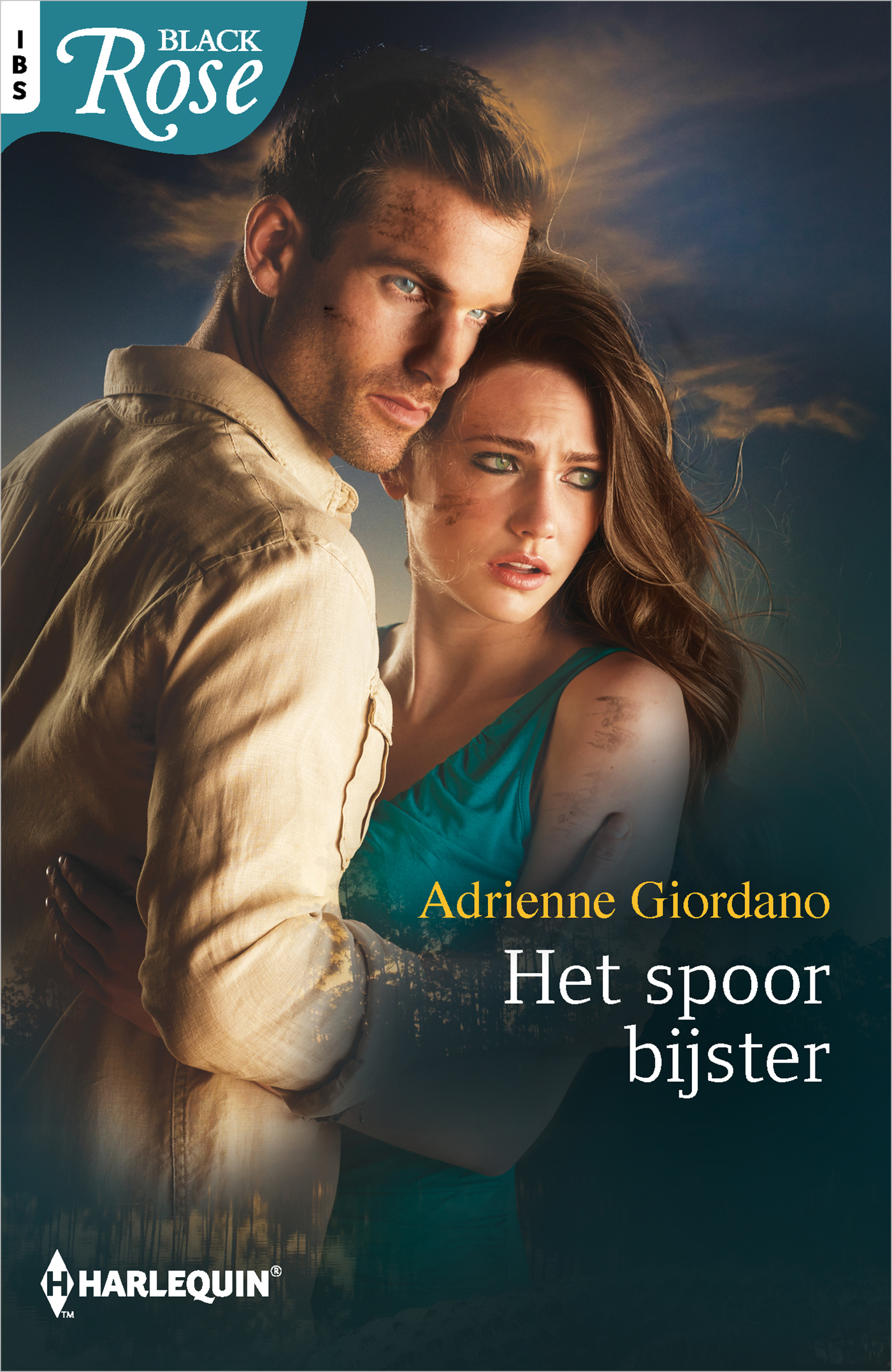Omslag van Het spoor bijster