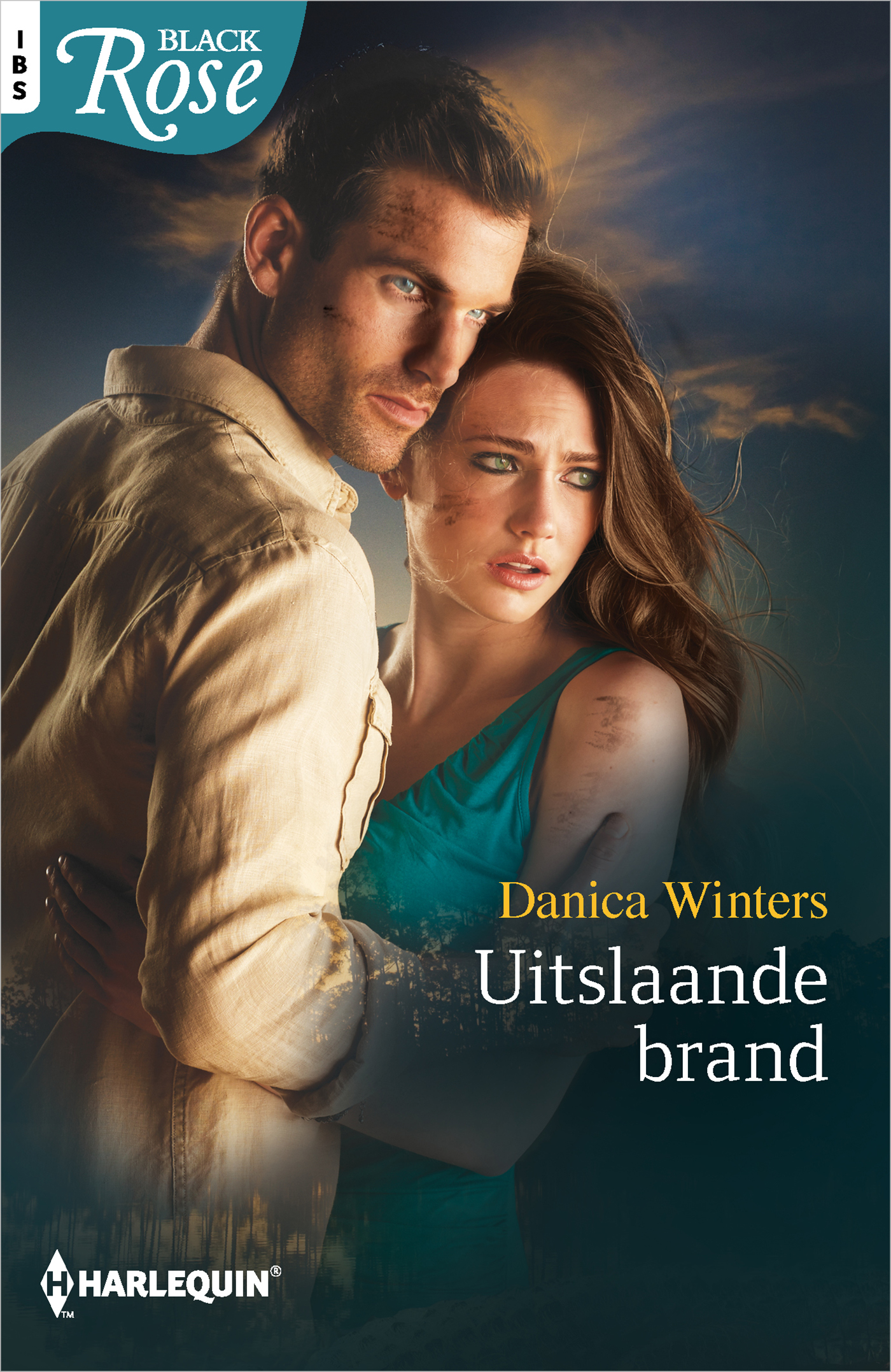 Omslag van Uitslaande brand