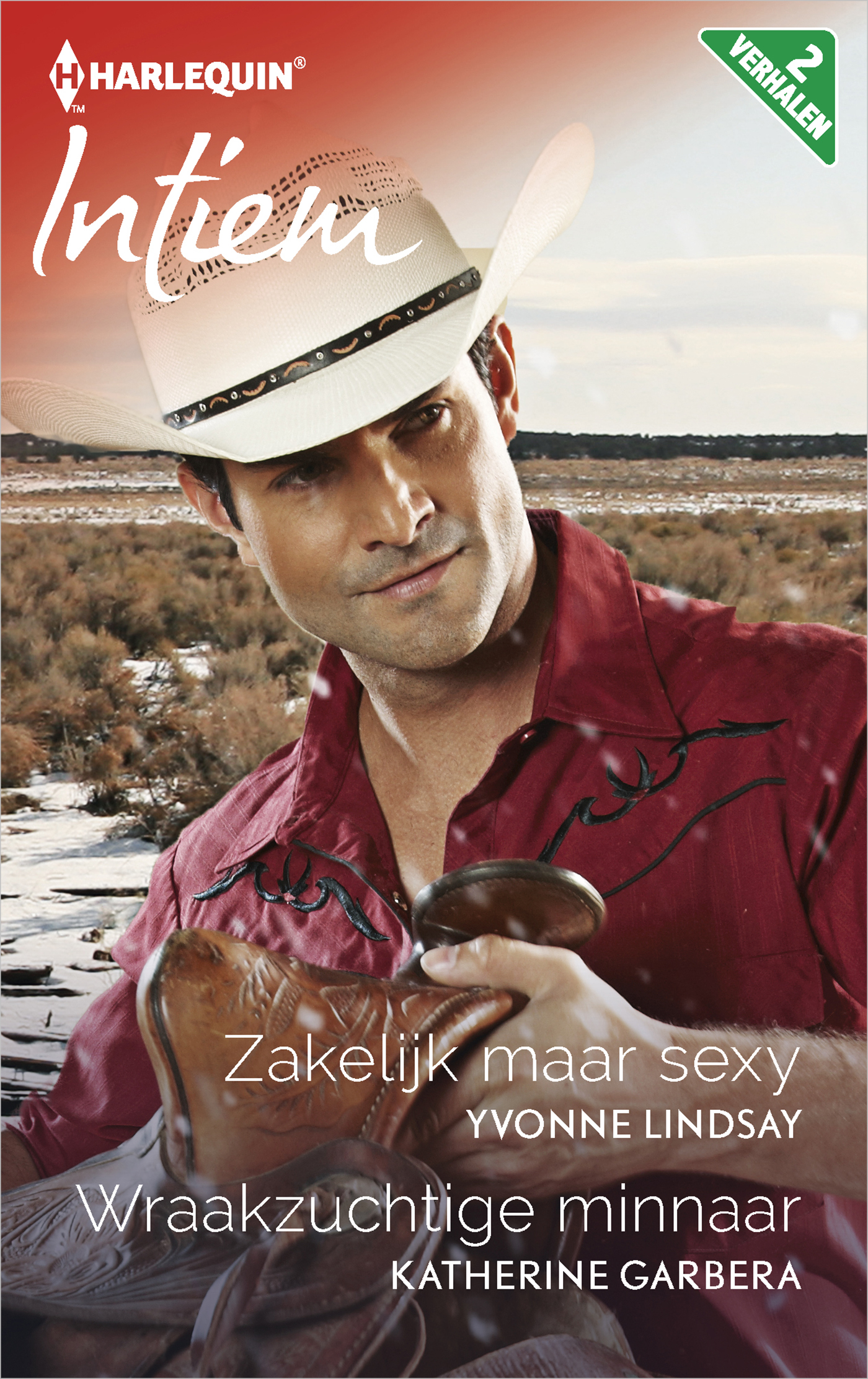 Omslag van Zakelijk maar sexy ; Wraakzuchtige minnaar (2-in-1)