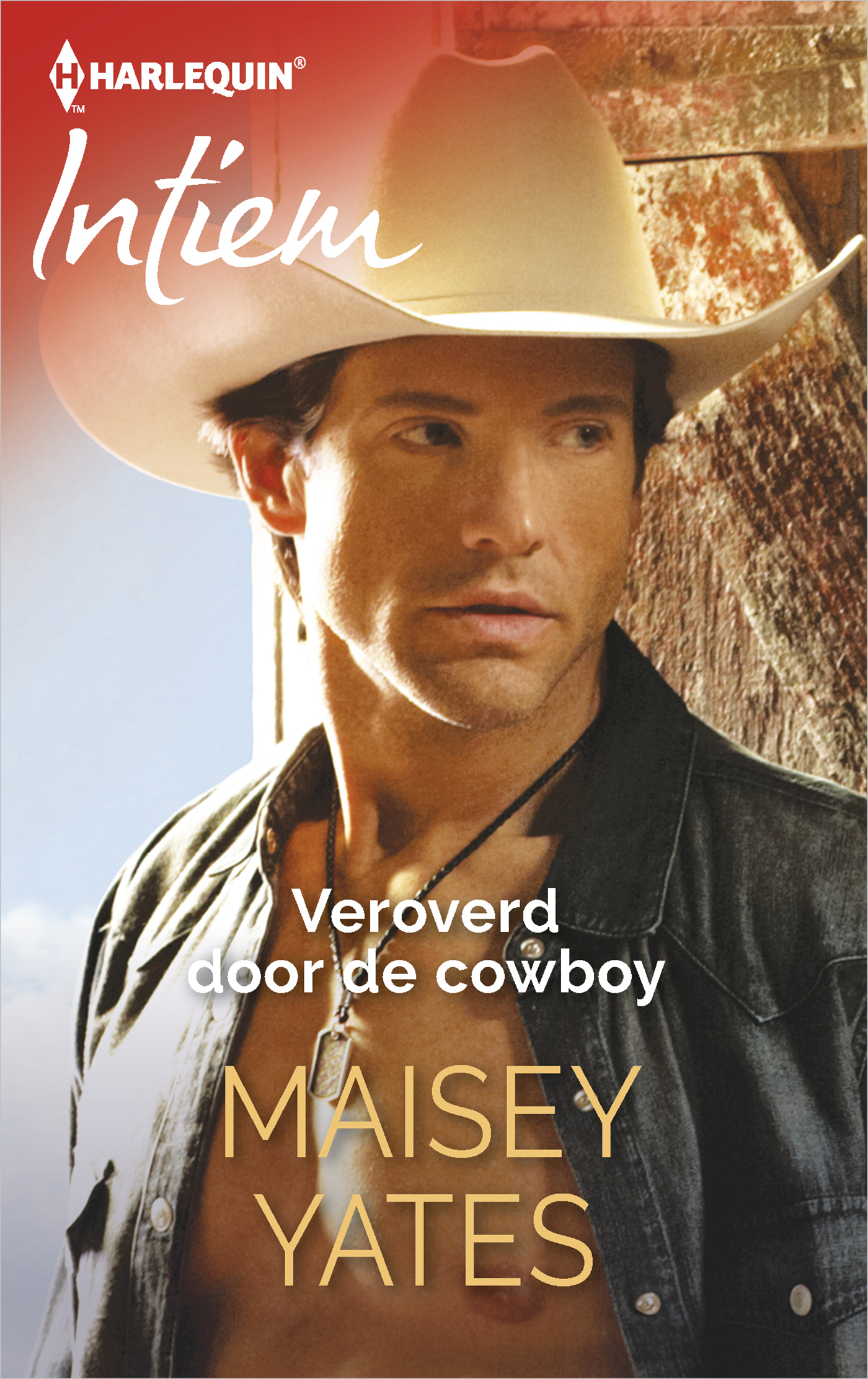 Omslag van Veroverd door de cowboy