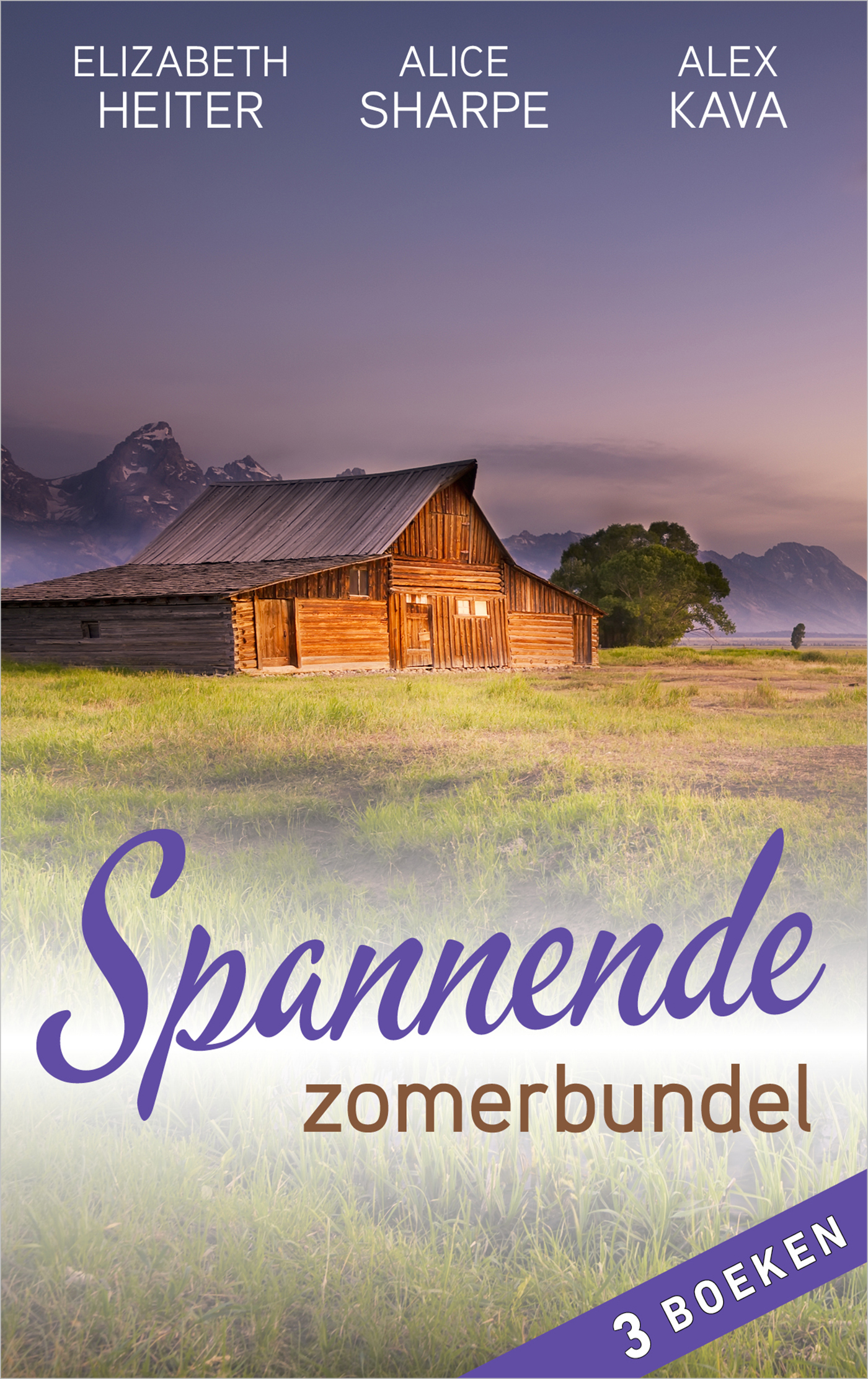 Omslag van Spannende zomerbundel (3-in-1)