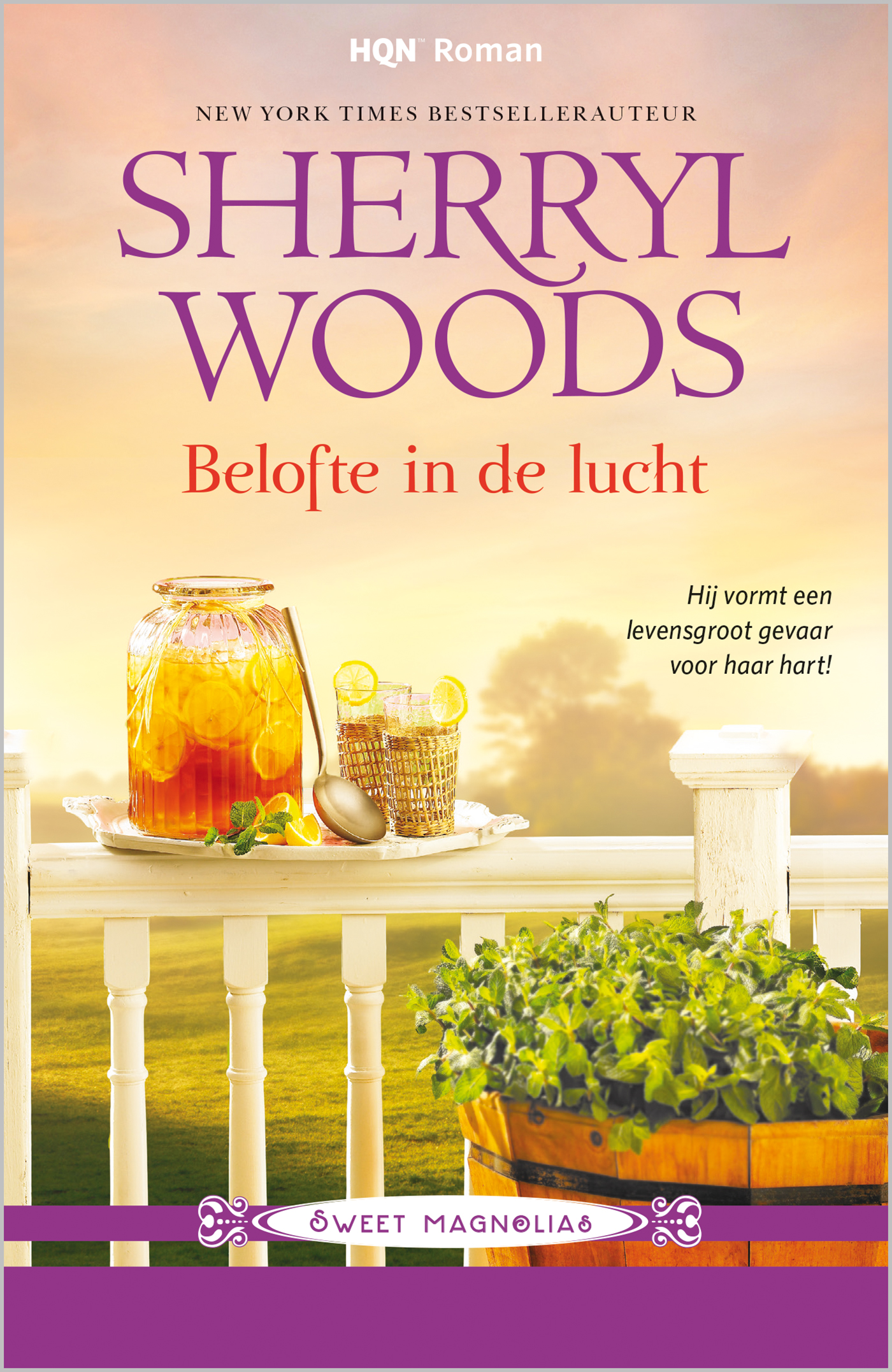 Omslag van Belofte in de lucht