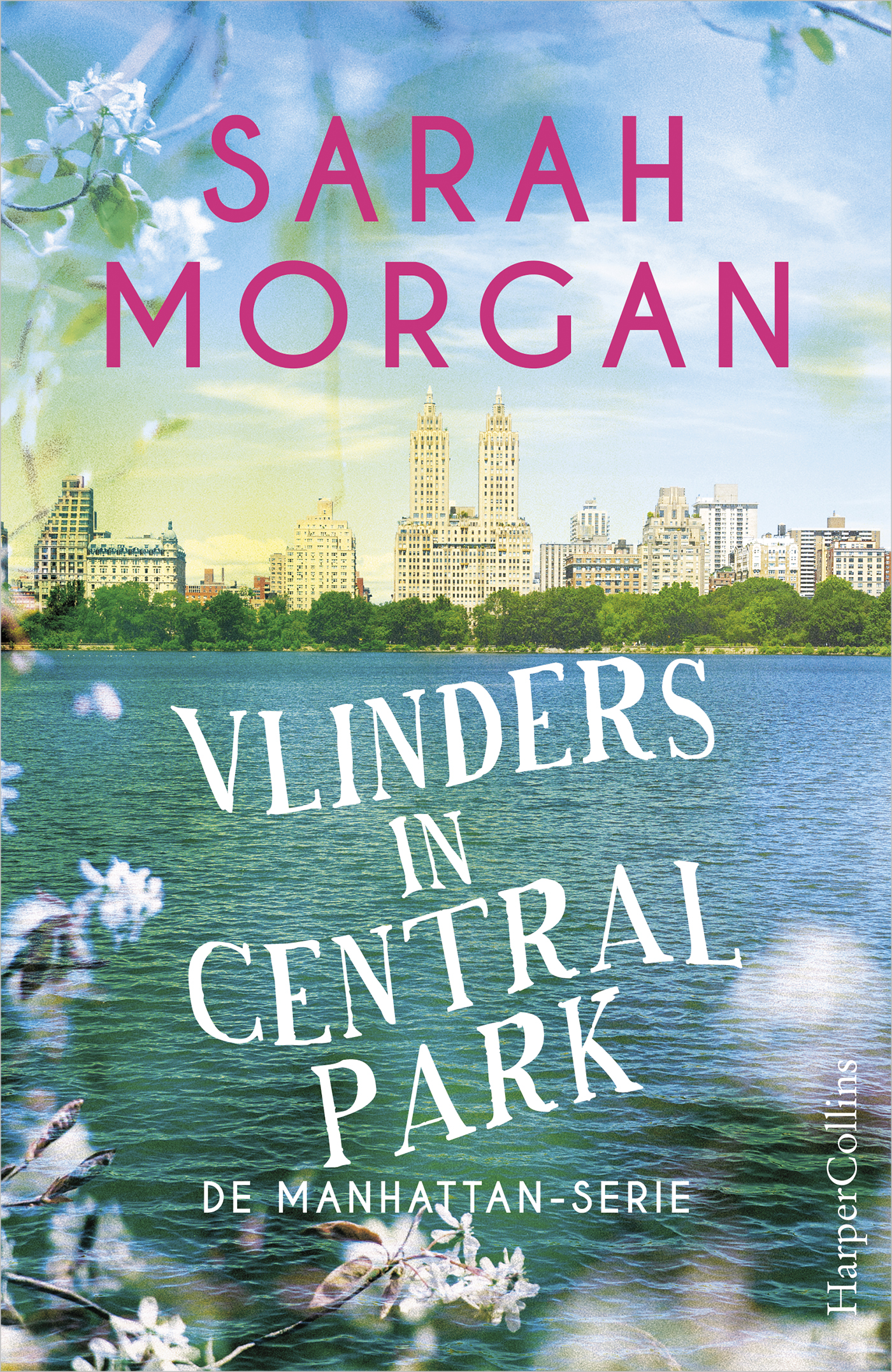 Omslag van Vlinders in Central Park