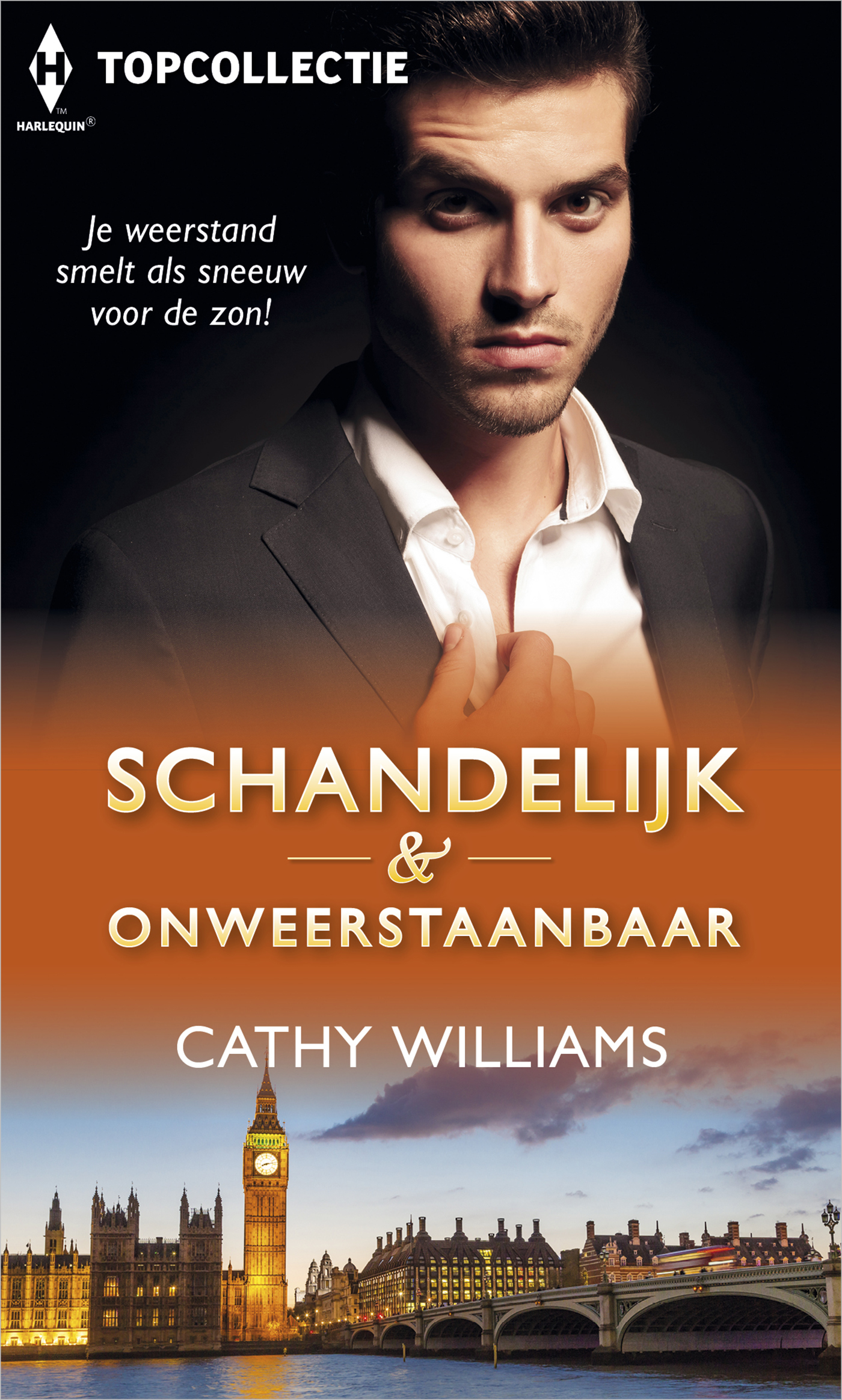 Omslag van Schandelijk & onweerstaanbaar
