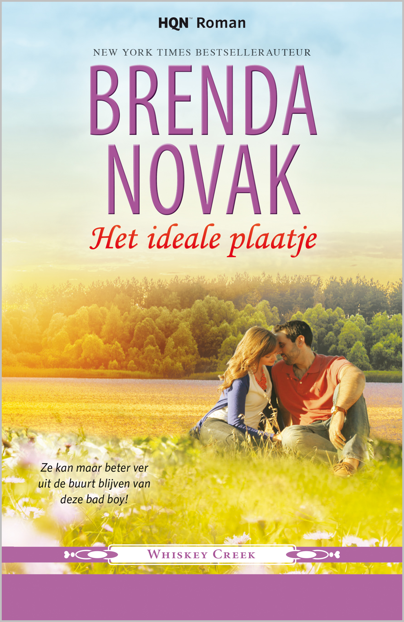 Omslag van Het ideale plaatje