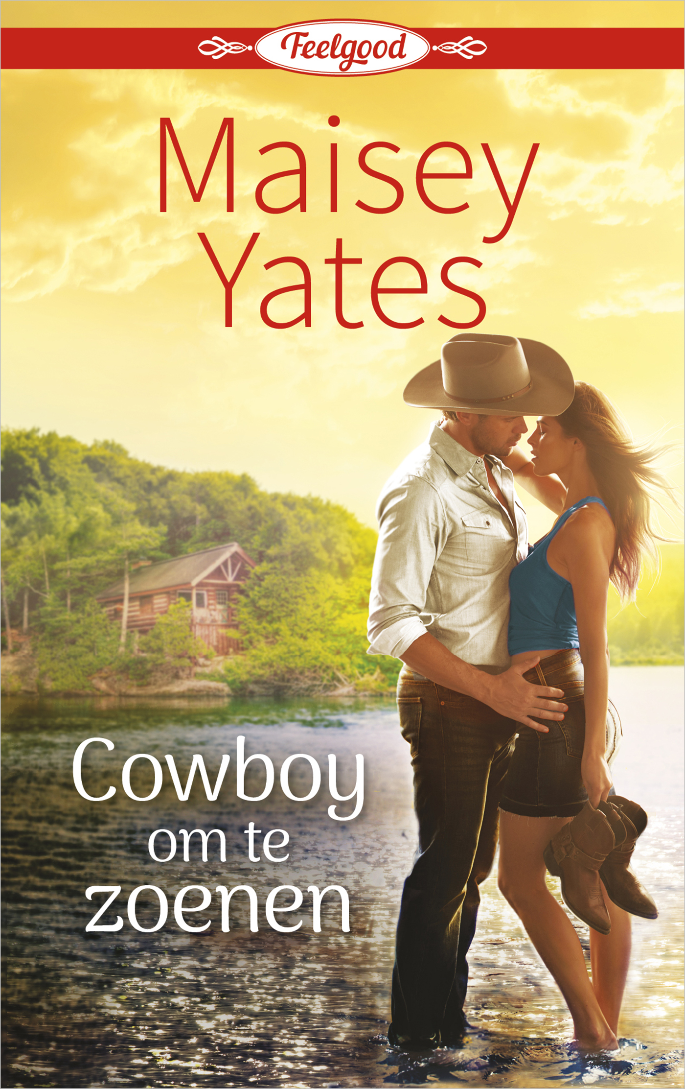 Omslag van Cowboy om te zoenen