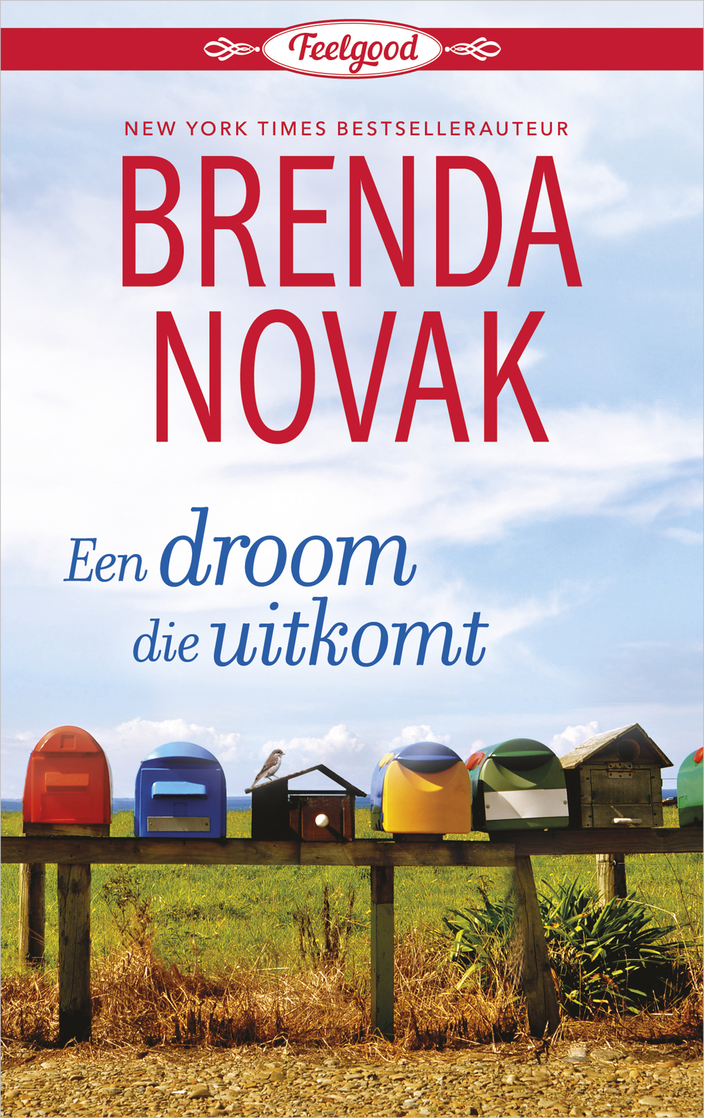 Omslag van Een droom die uitkomt