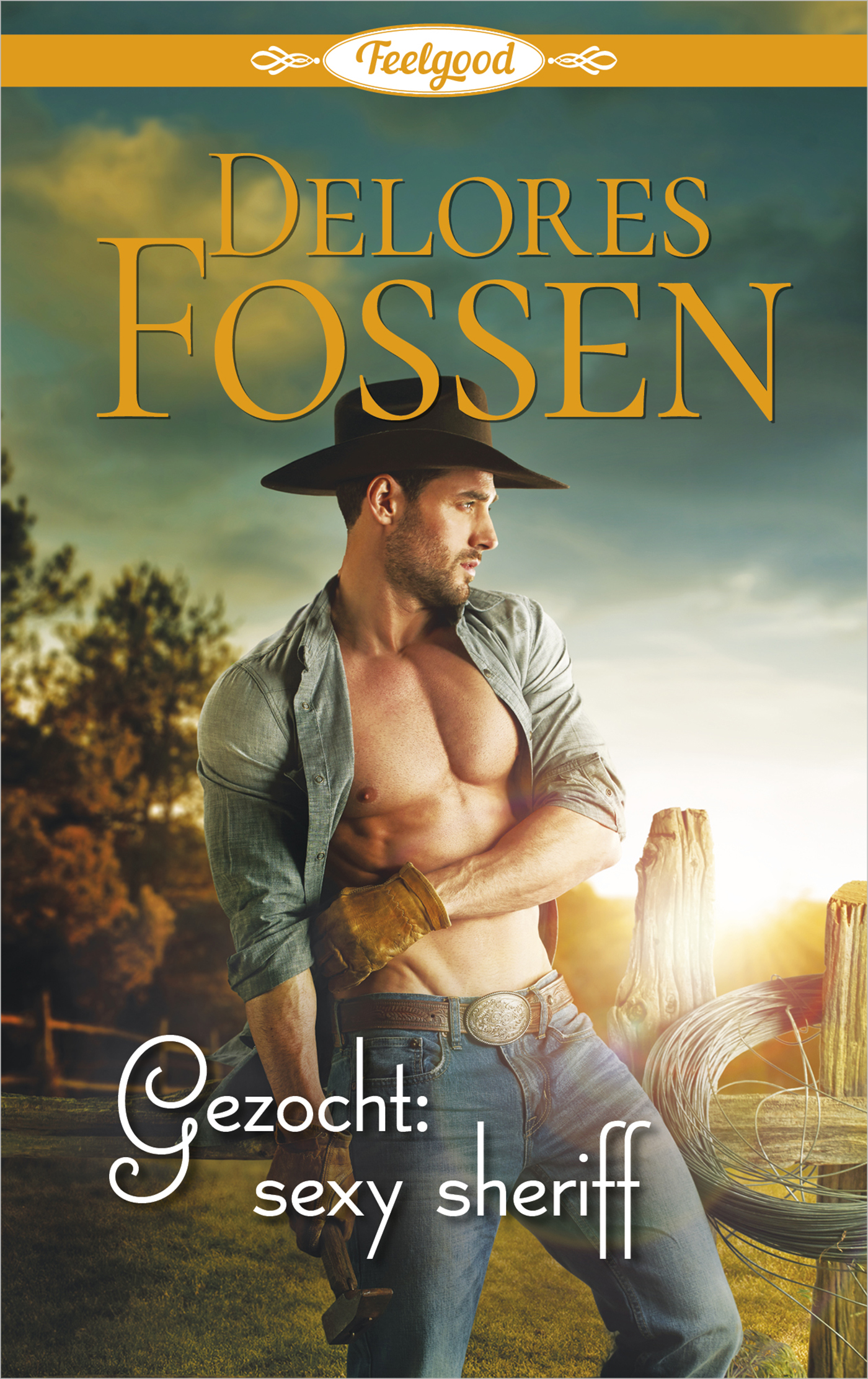 Omslag van Gezocht: sexy sheriff
