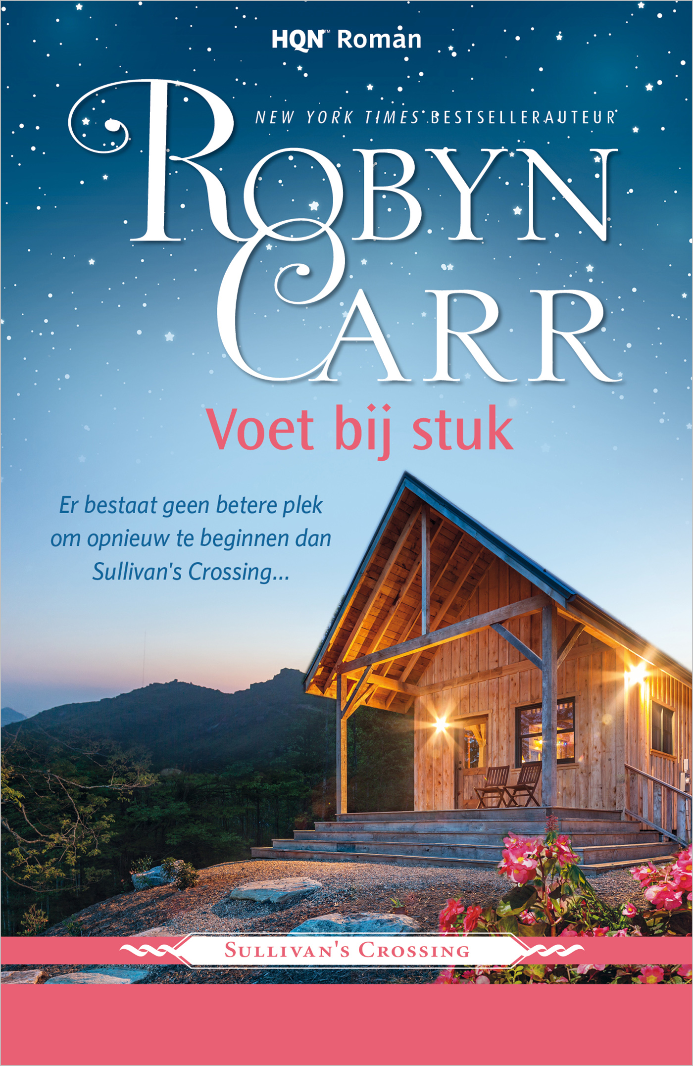 Omslag van Voet bij stuk