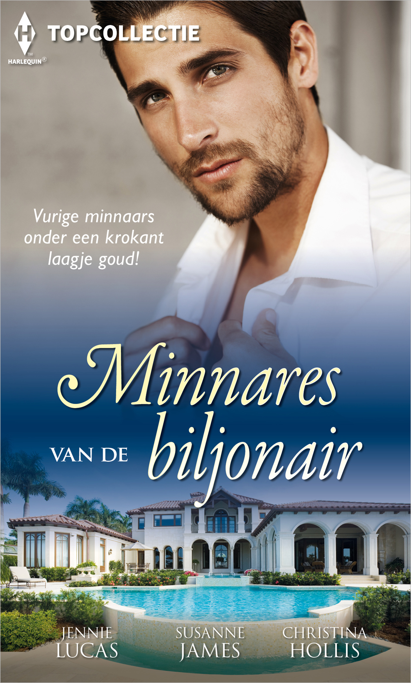 Omslag van Minnares van de biljonair