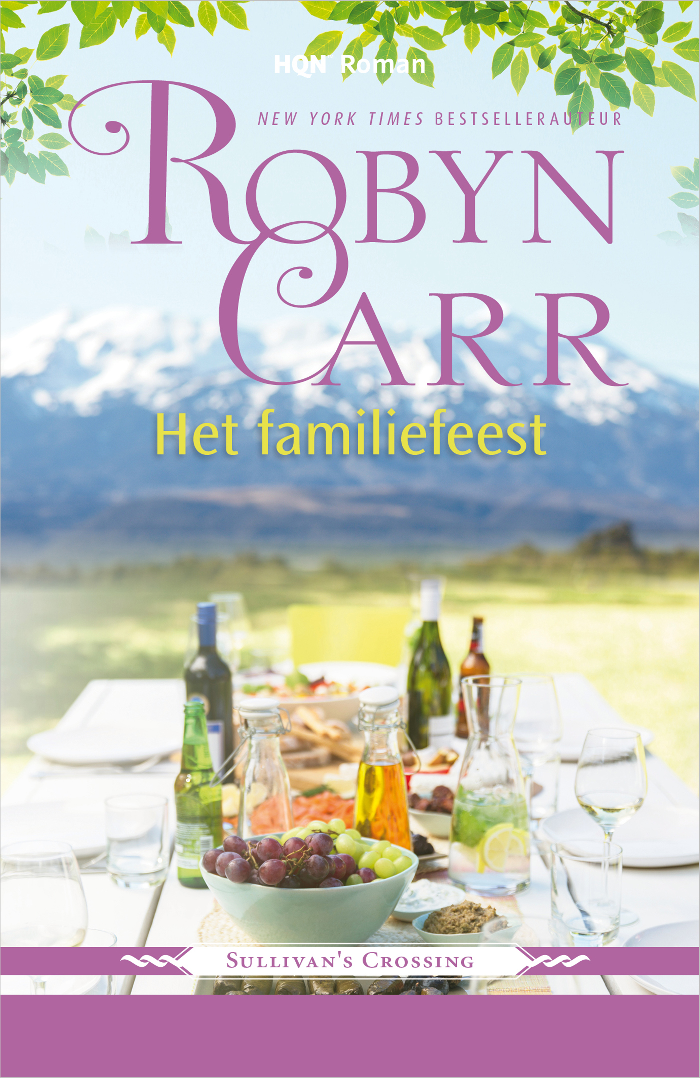 Omslag van Het familiefeest